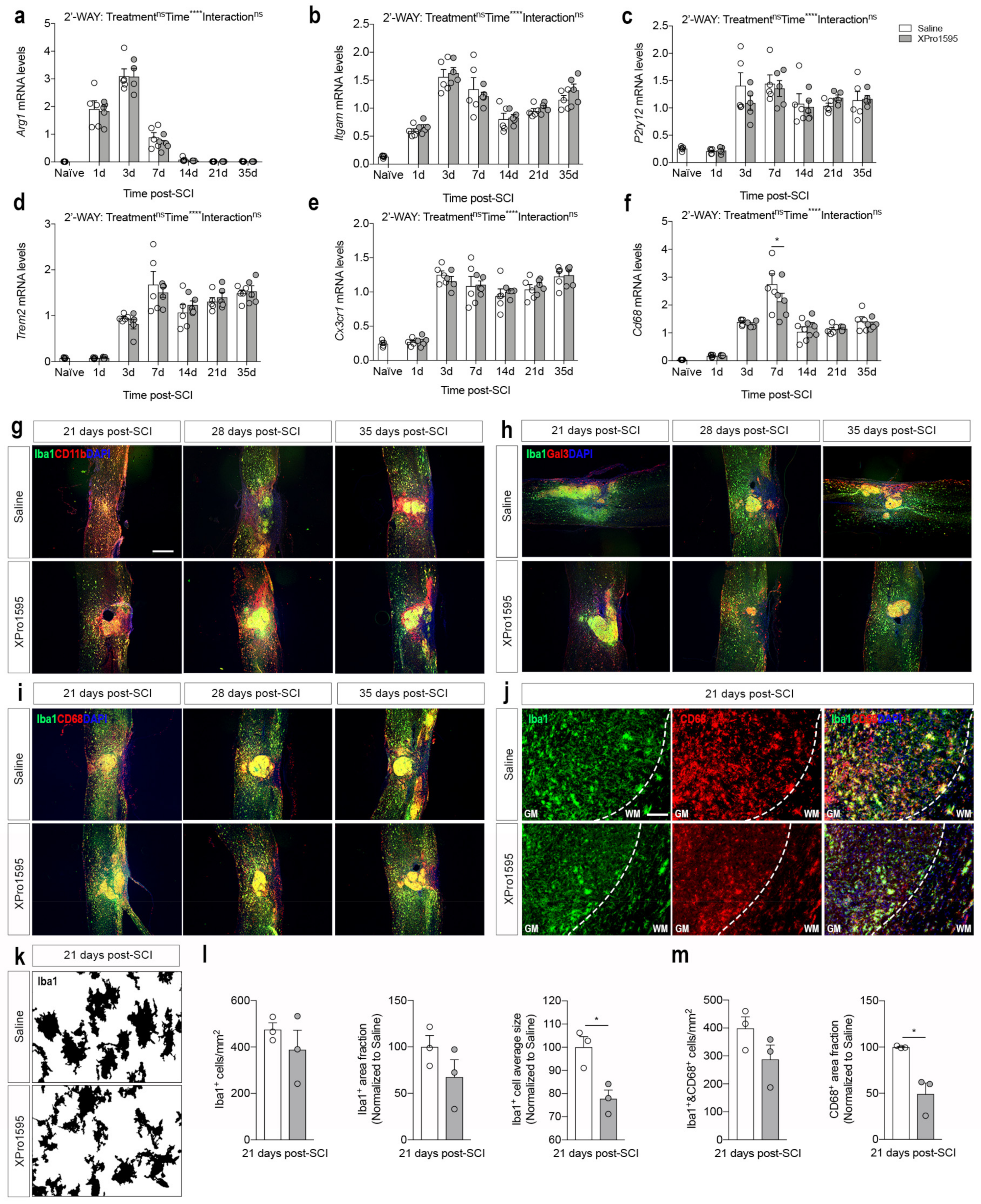 Biology 12 00845 g006