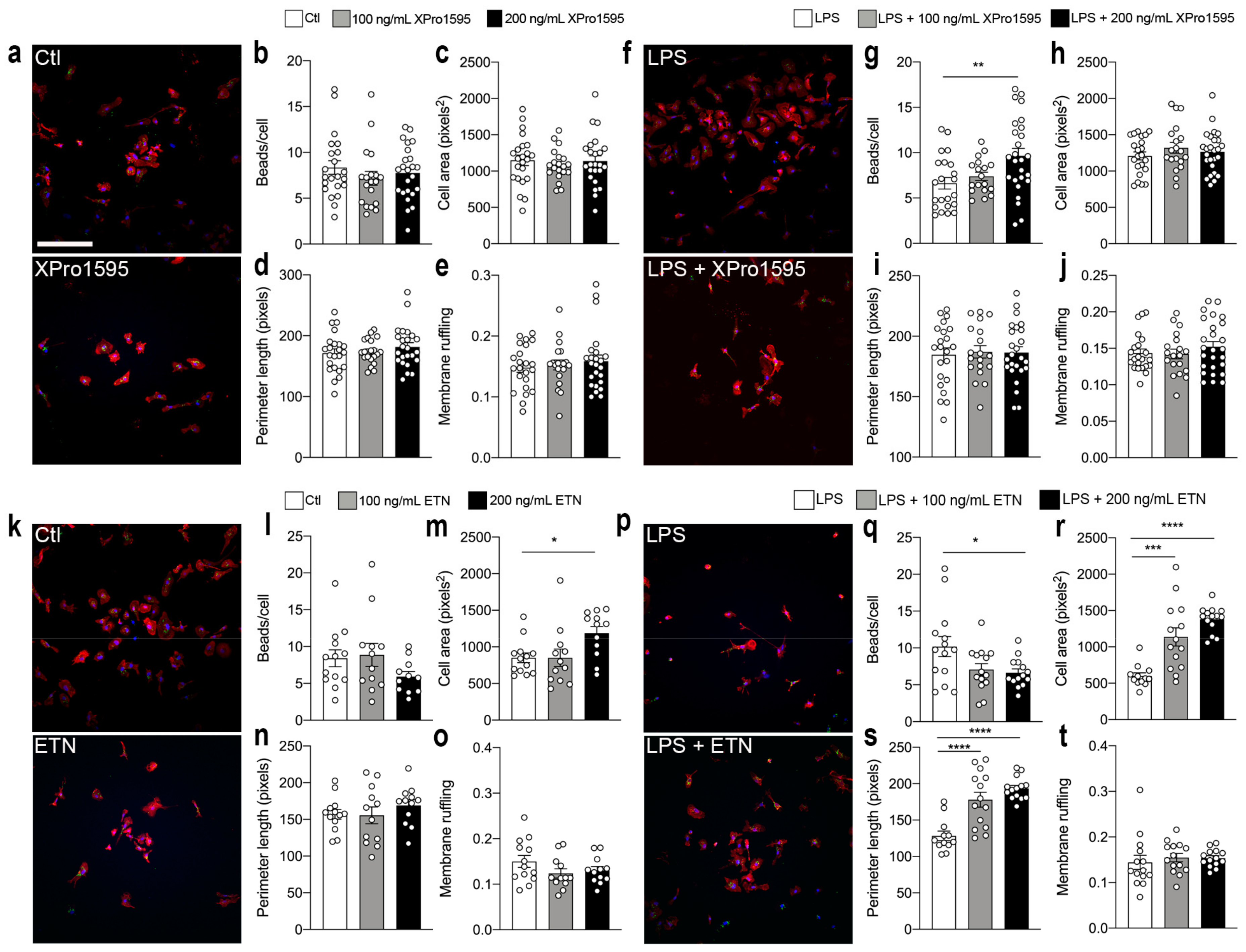 Biology 12 00845 g007