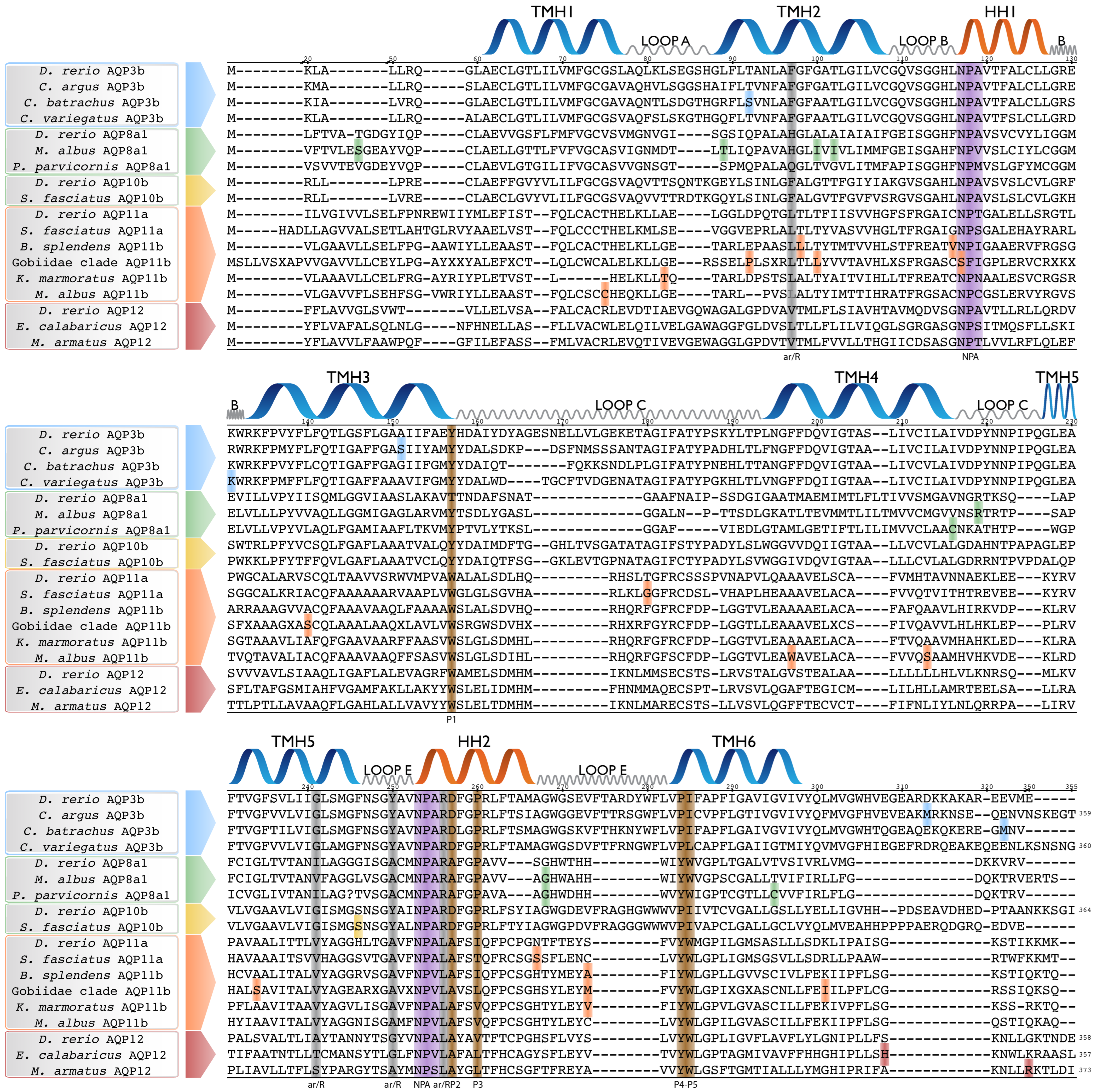 Biology 12 00846 g003