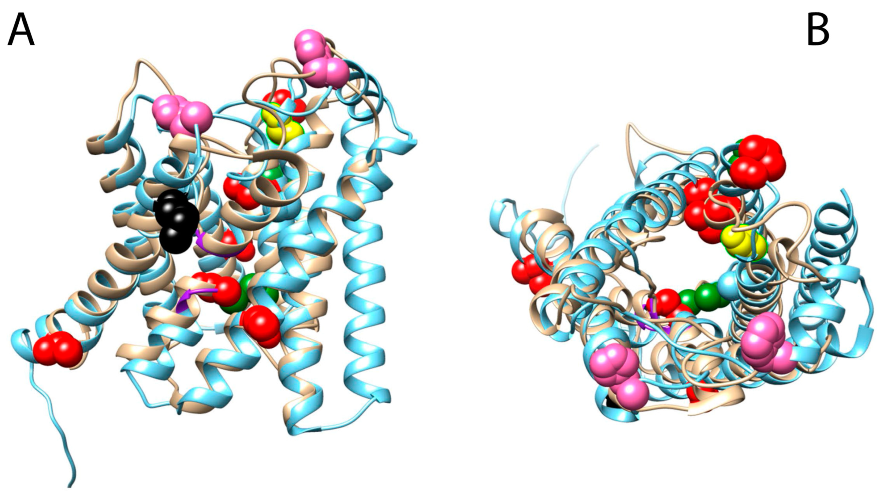 Biology 12 00846 g004