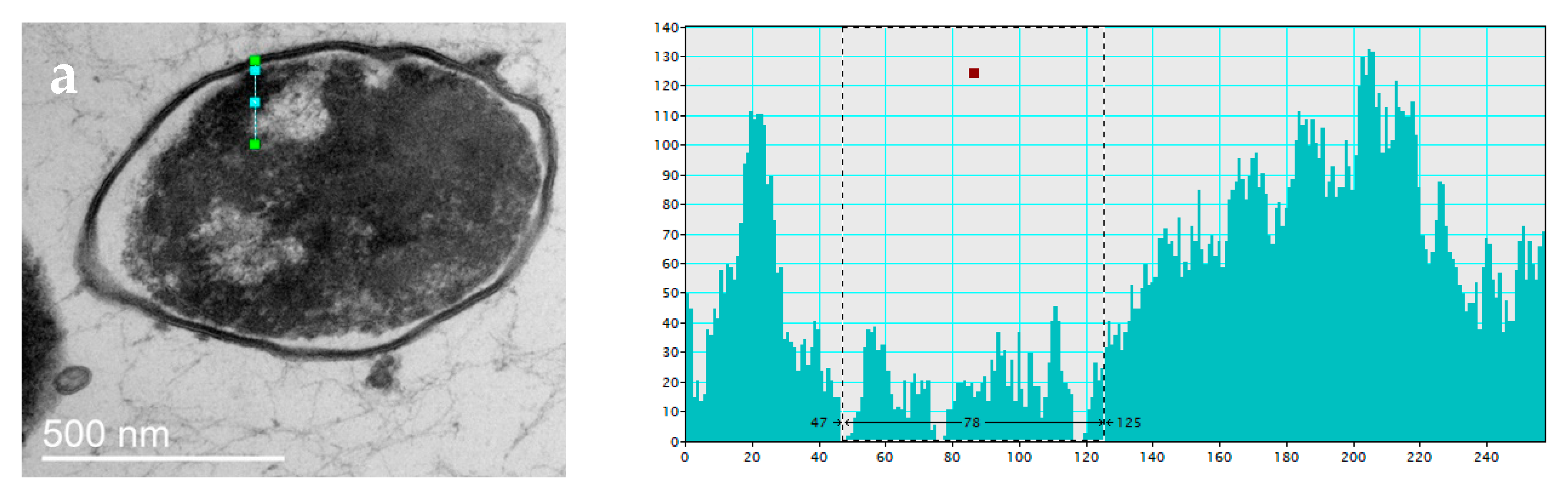Biology 12 00853 g005a