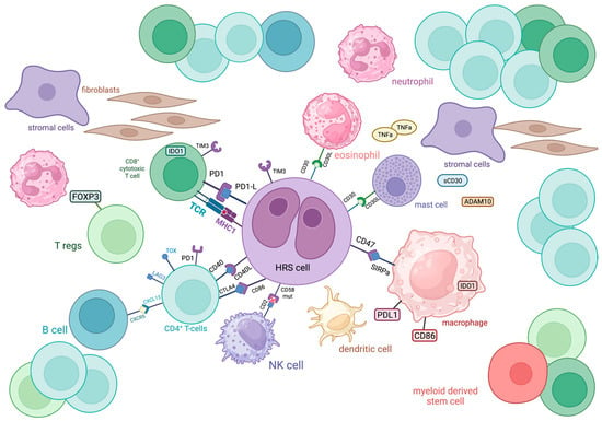 Biology | Free Full-Text | Unraveling the Immune Microenvironment in ...