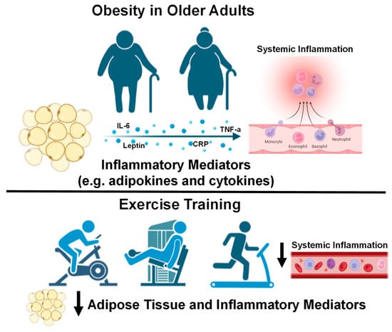 About Adult BMI, Healthy Weight, Nutrition, and Physical Activity