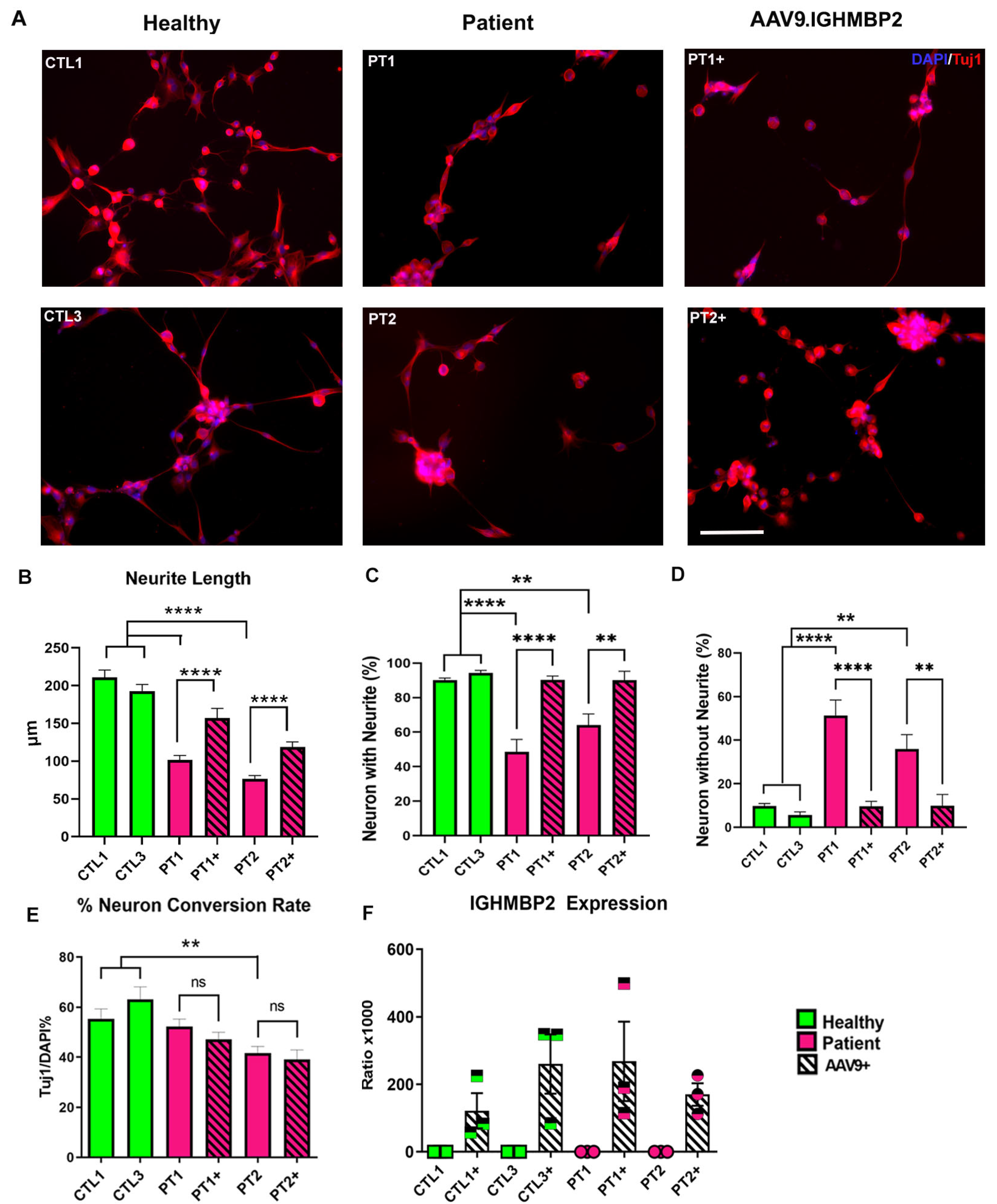 Biology 12 00867 g003