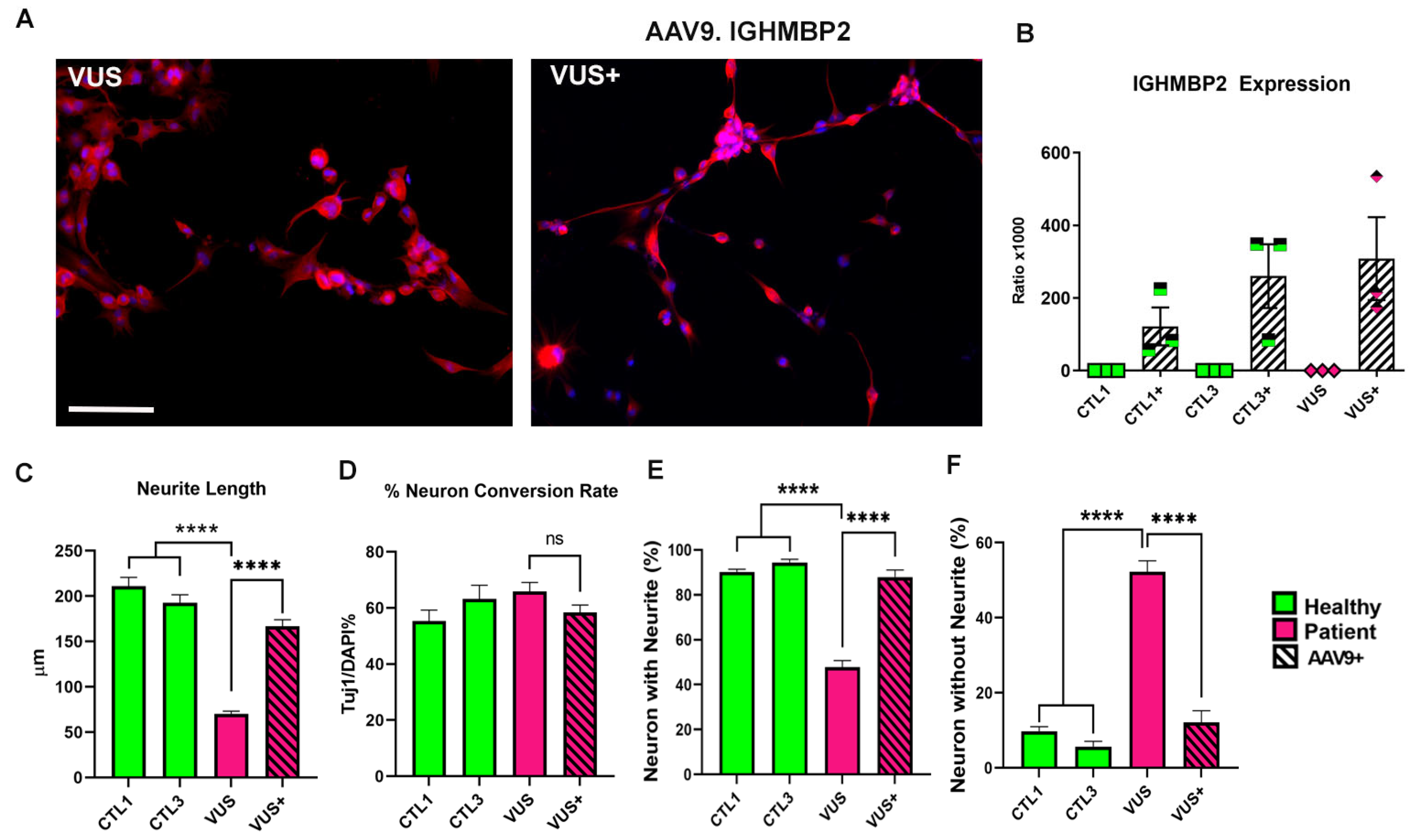 Biology 12 00867 g004