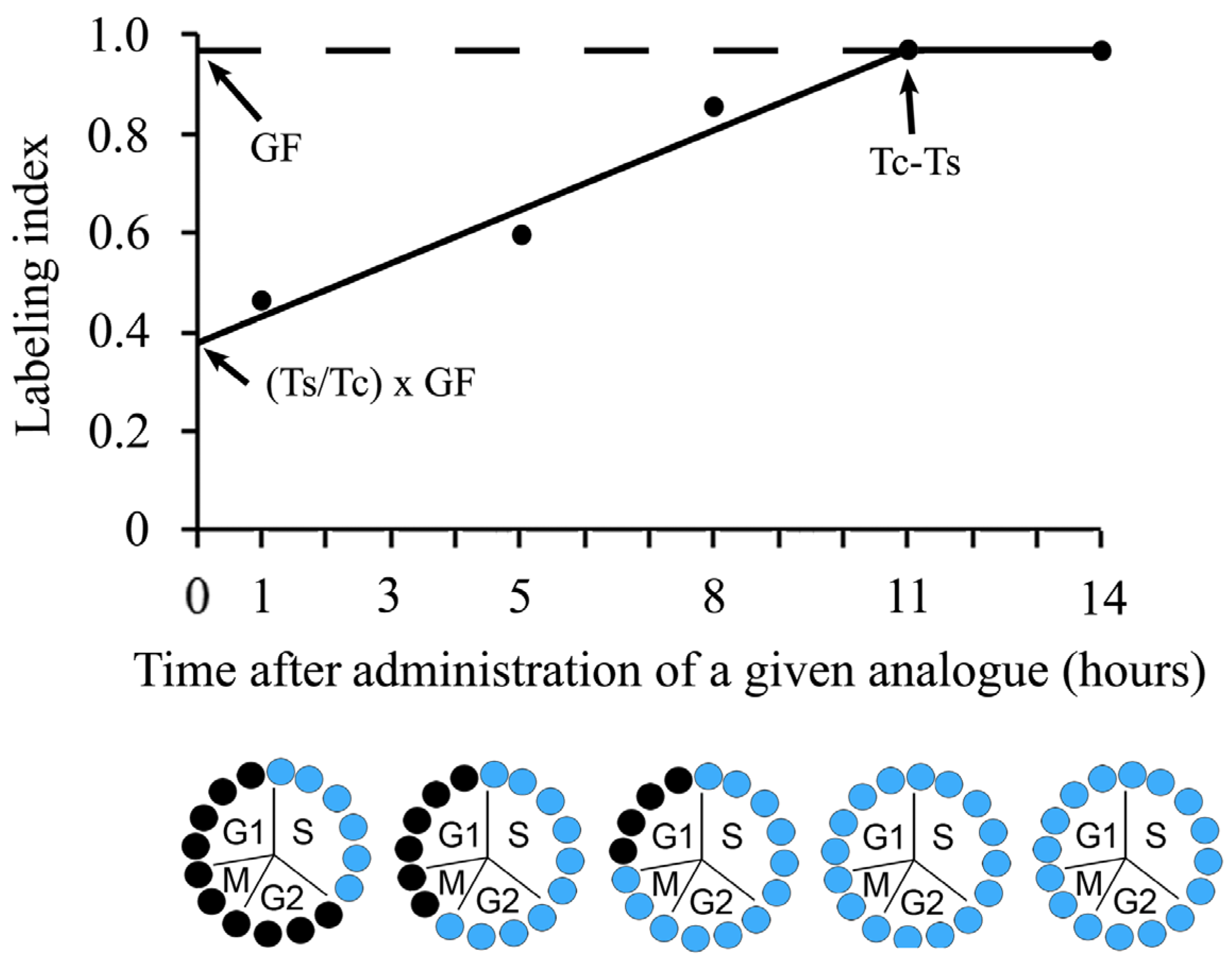 Biology 12 00885 g004