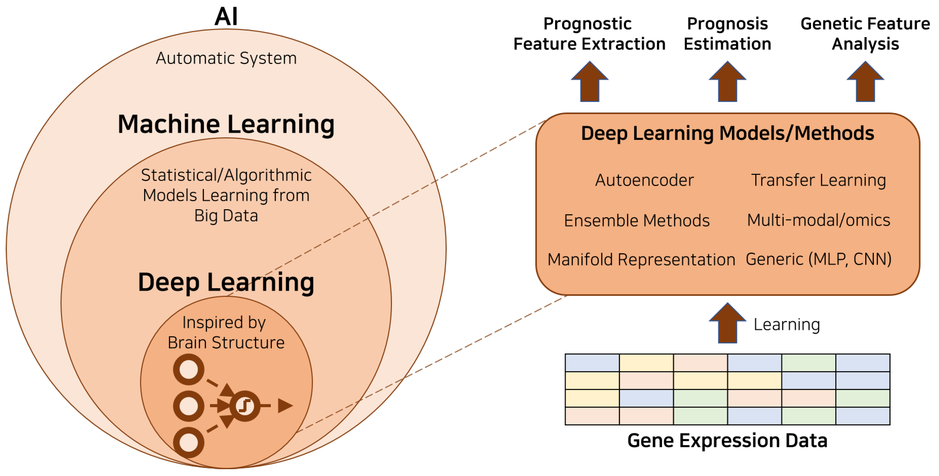 Biology  Free Full-Text  Deep Learning Techniques with Genomic Data in Cancer Prognosis: A 