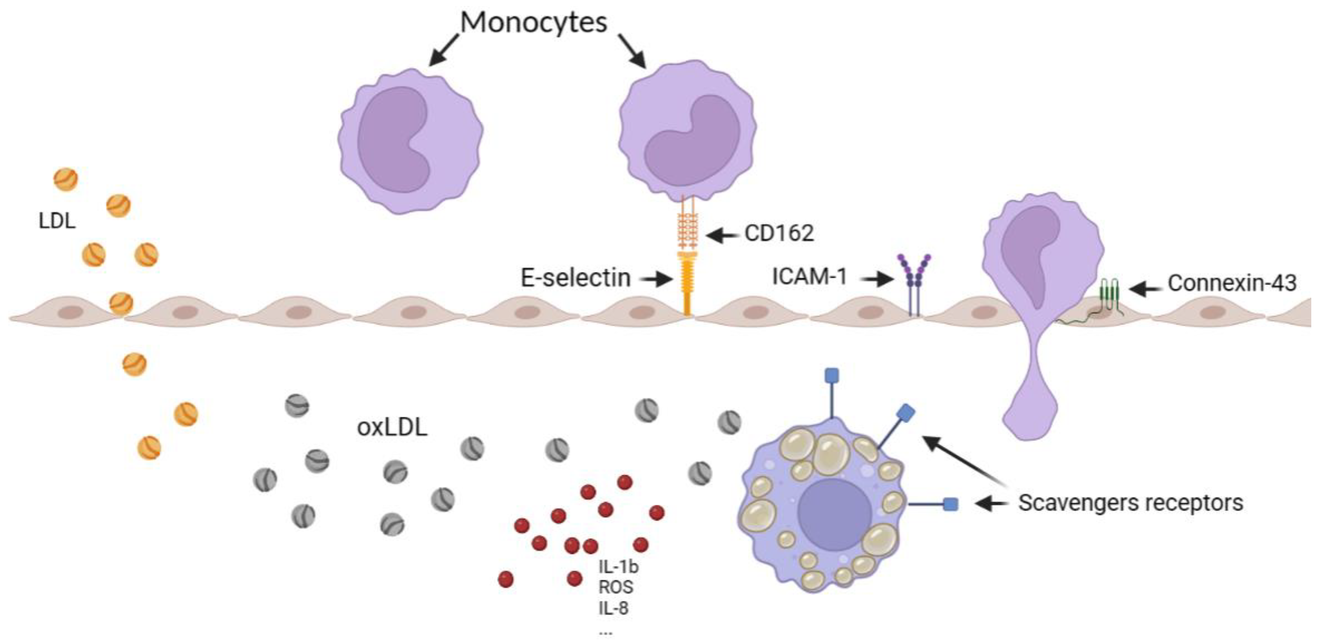 Biology 12 00896 g001 Biology 12 00896 g001