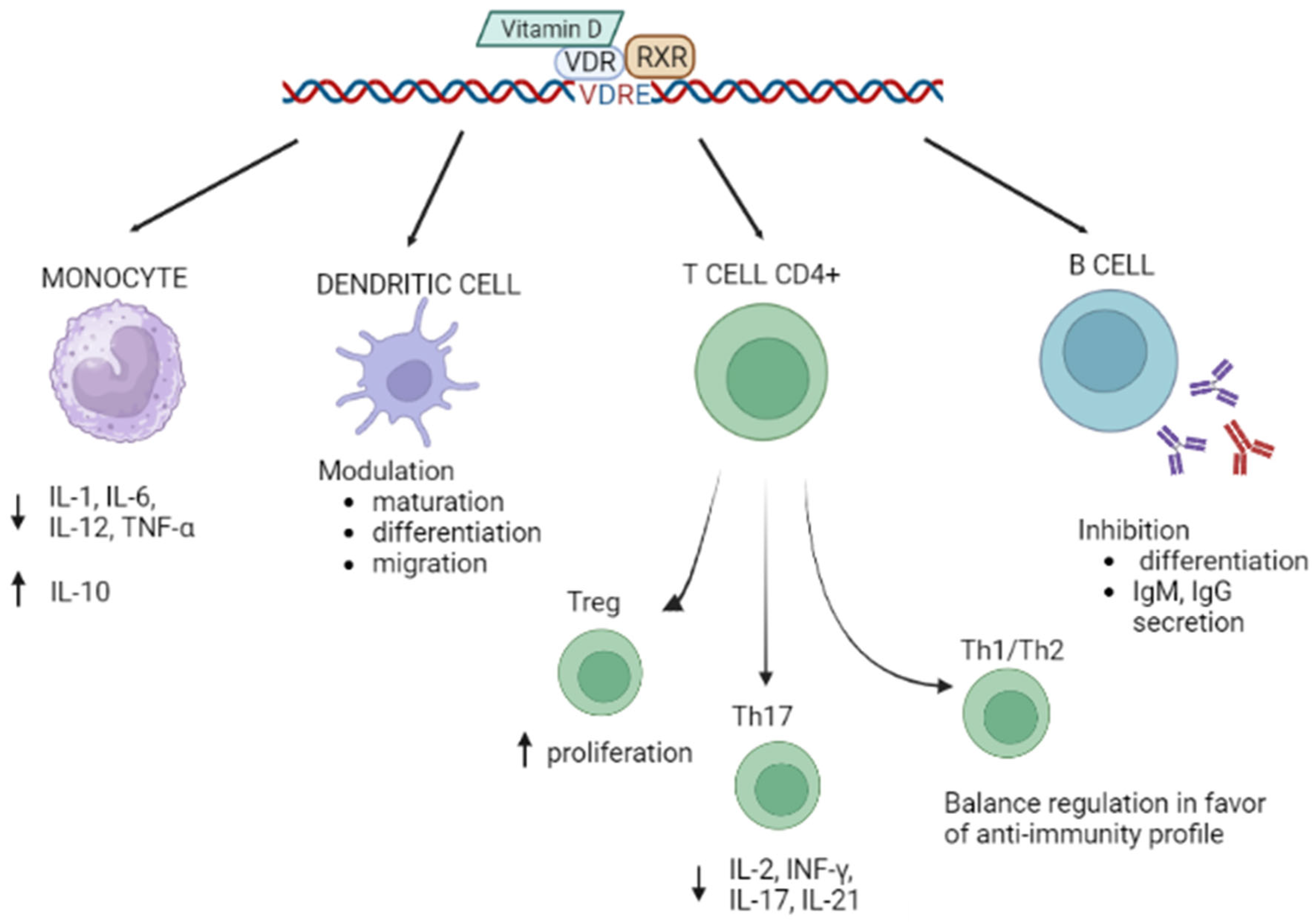 Biology 12 00916 g001