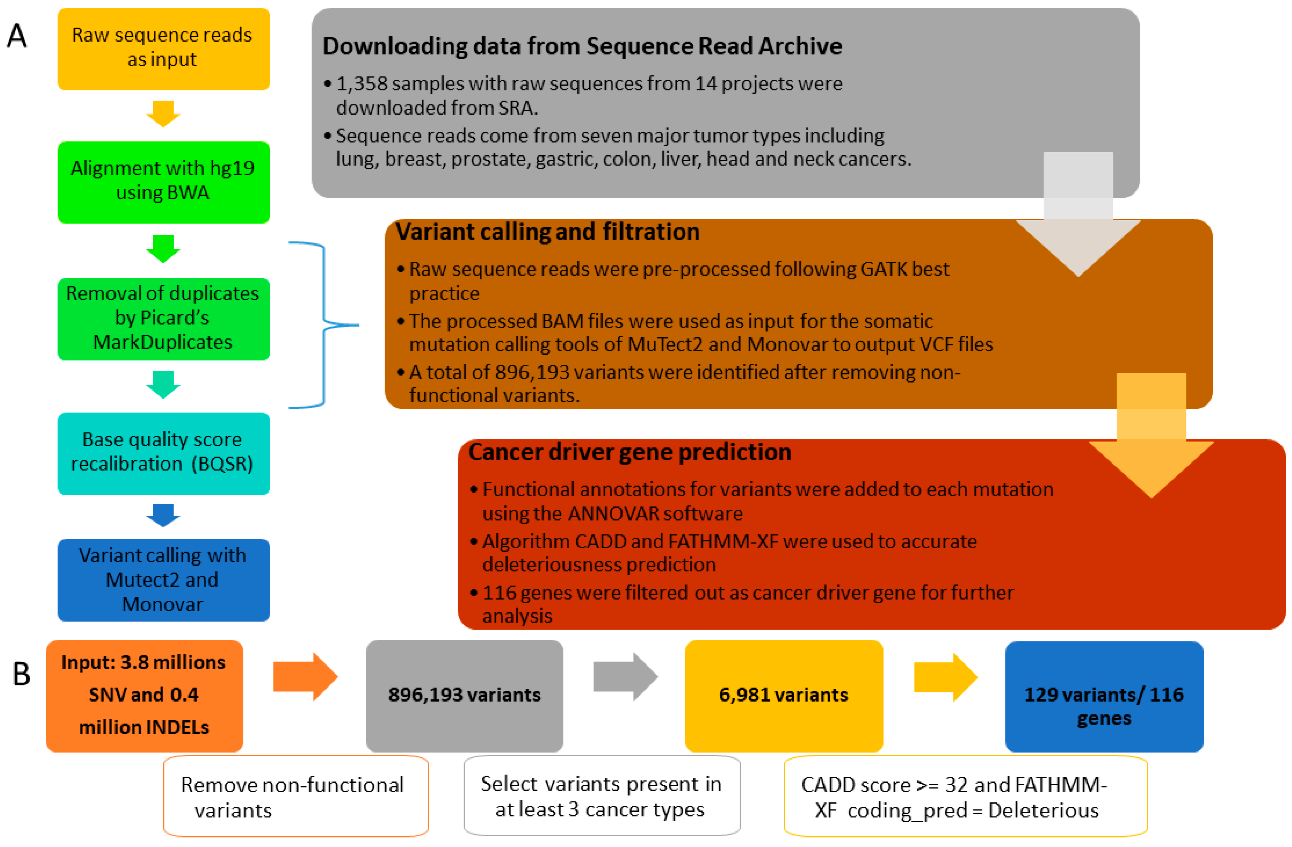 Biology 12 00934 g001 Biology 12 00934 g001