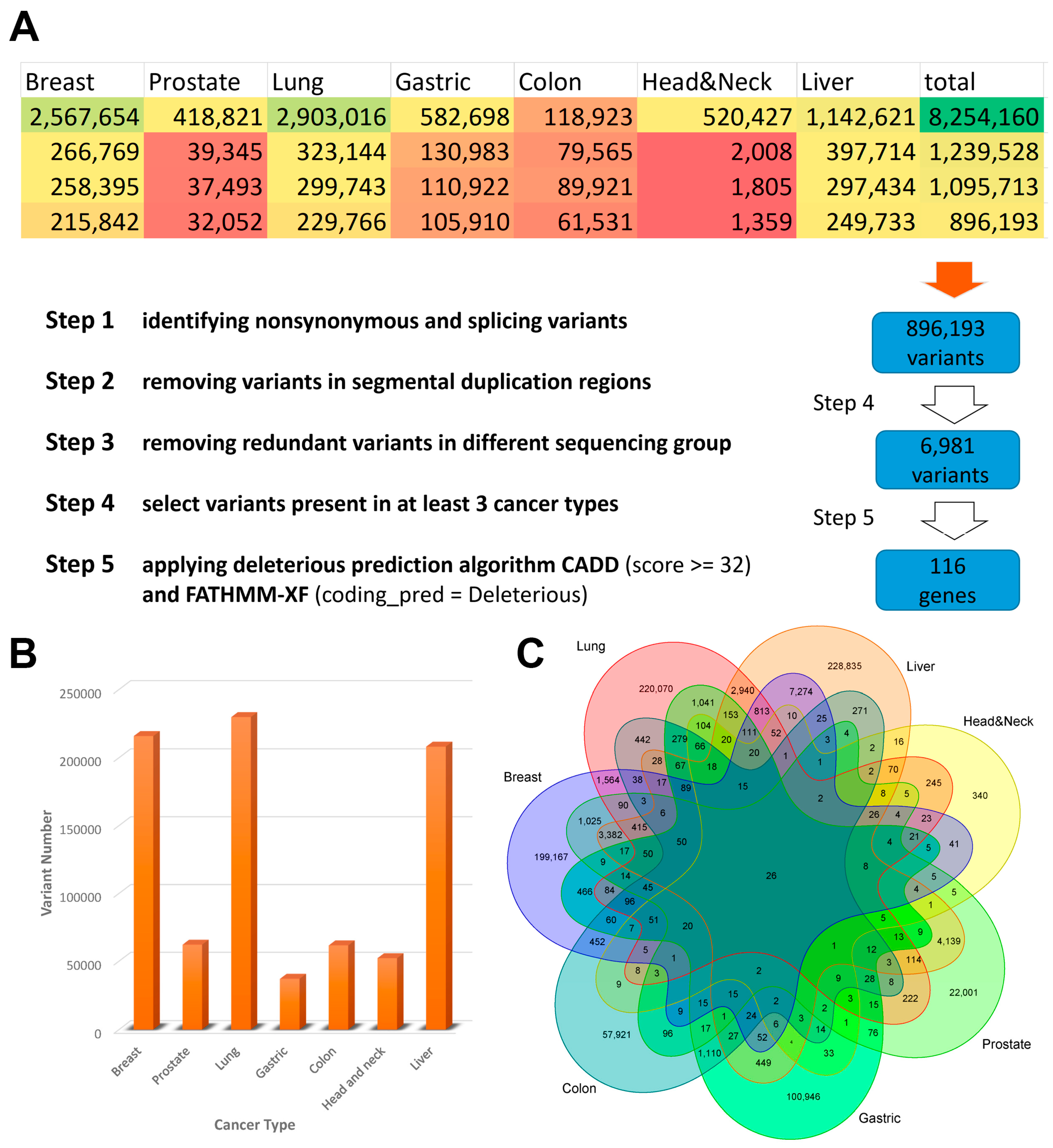 Biology 12 00934 g002 Biology 12 00934 g002