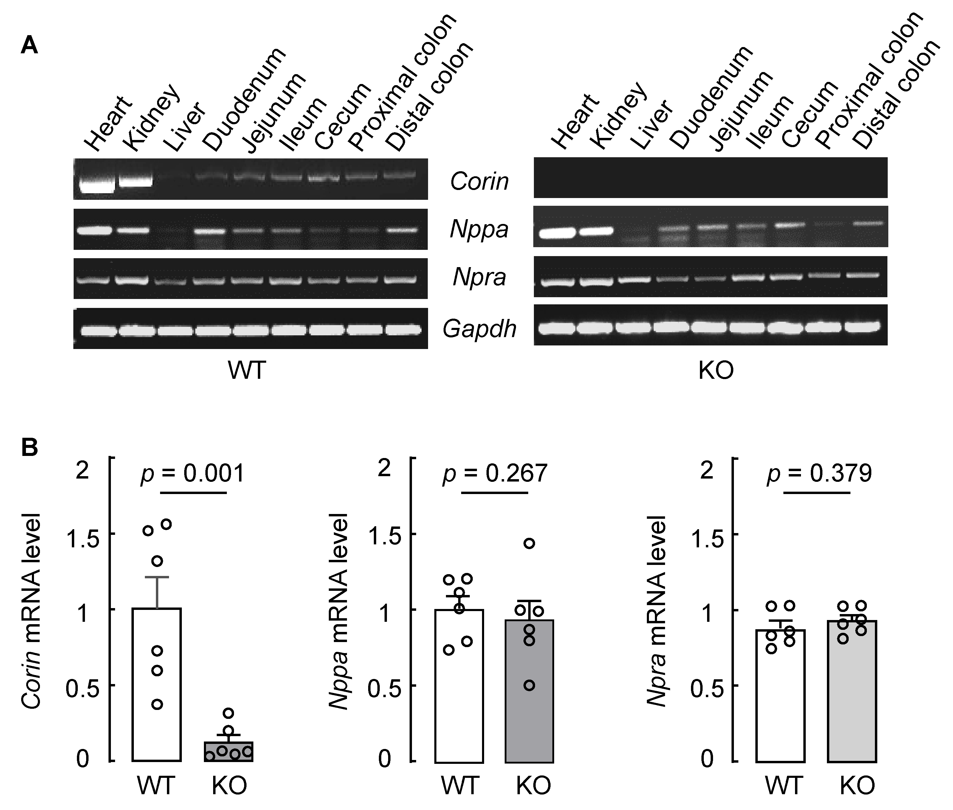Biology 12 00945 g002
