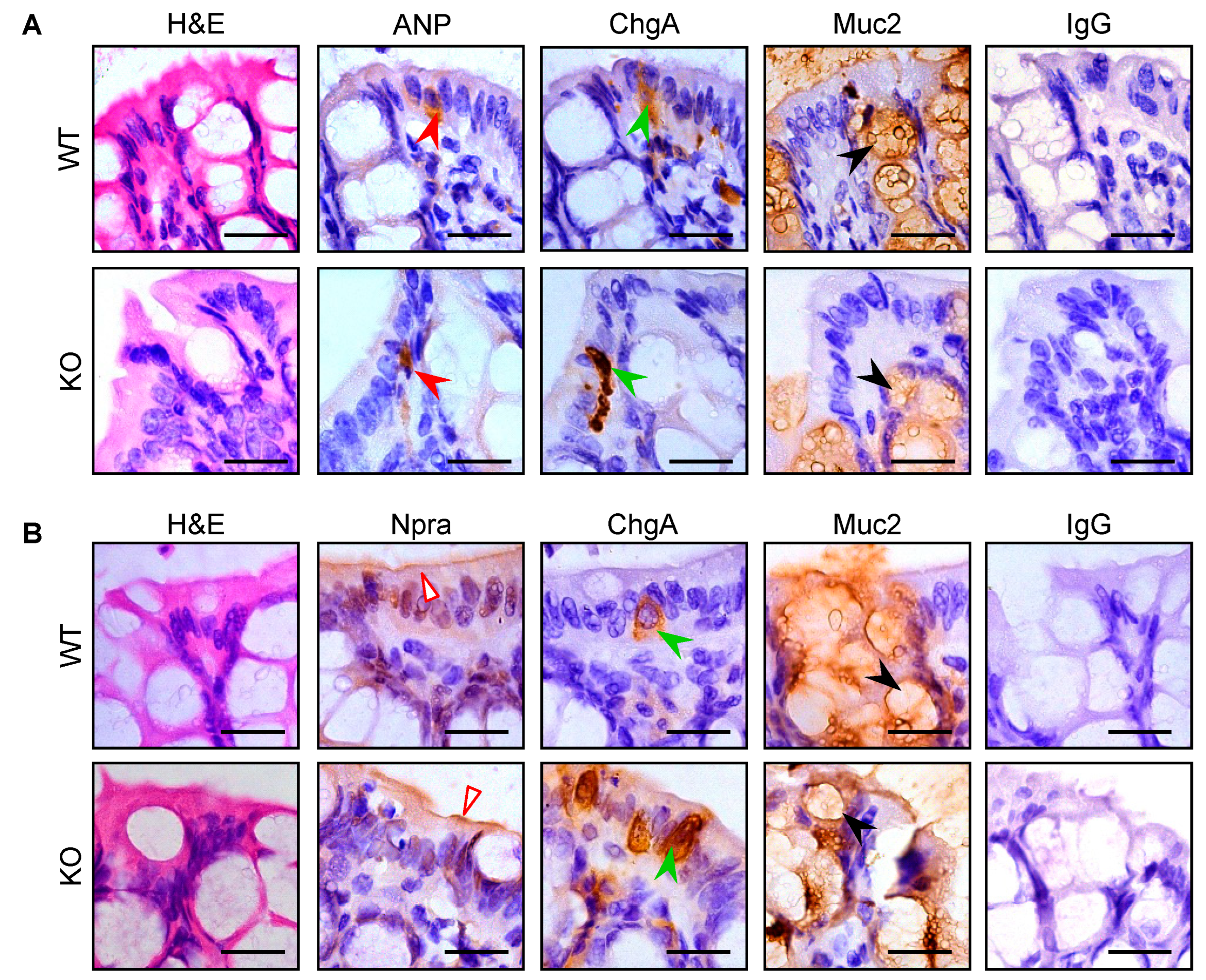 Biology 12 00945 g003