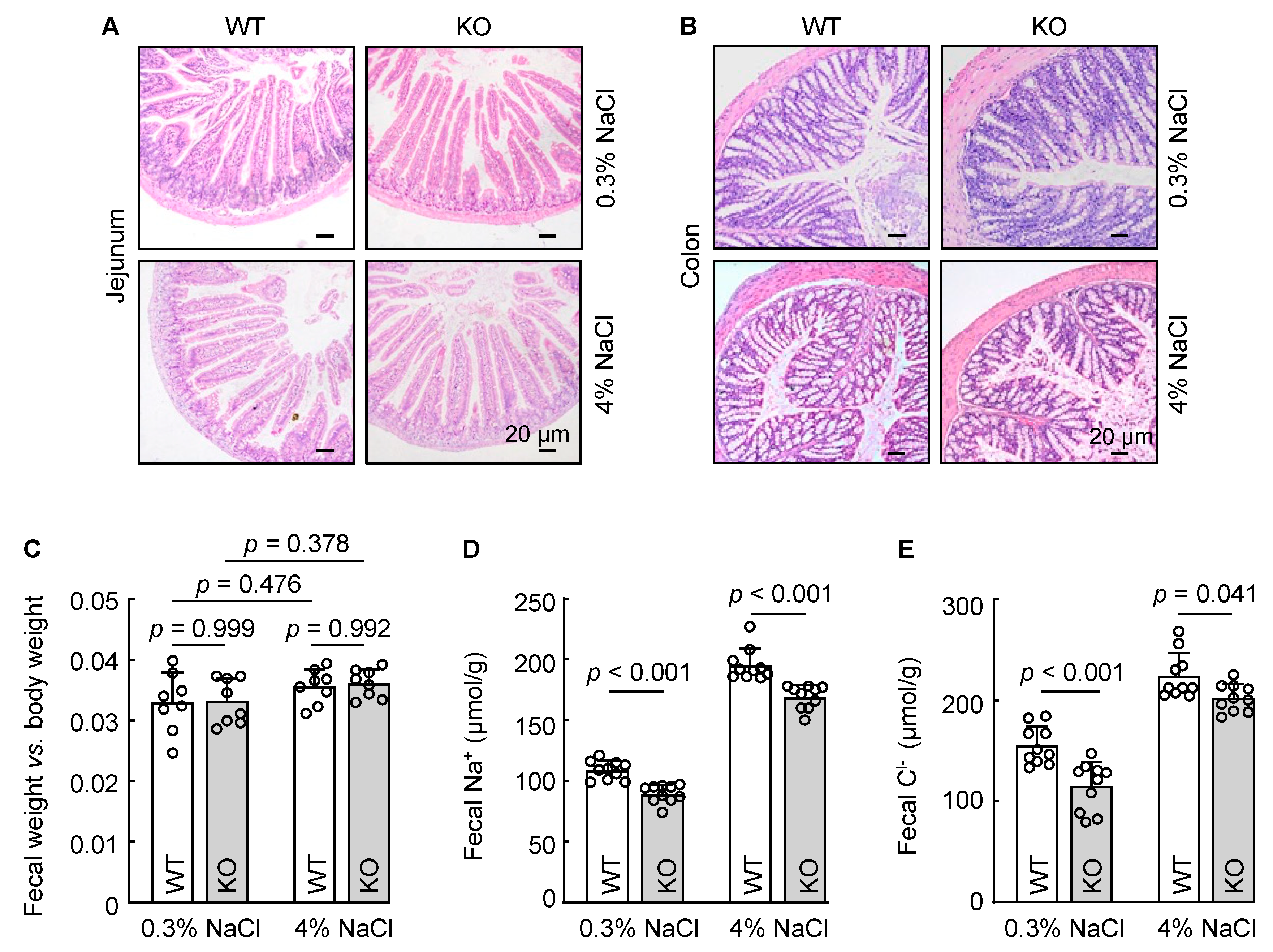 Biology 12 00945 g005