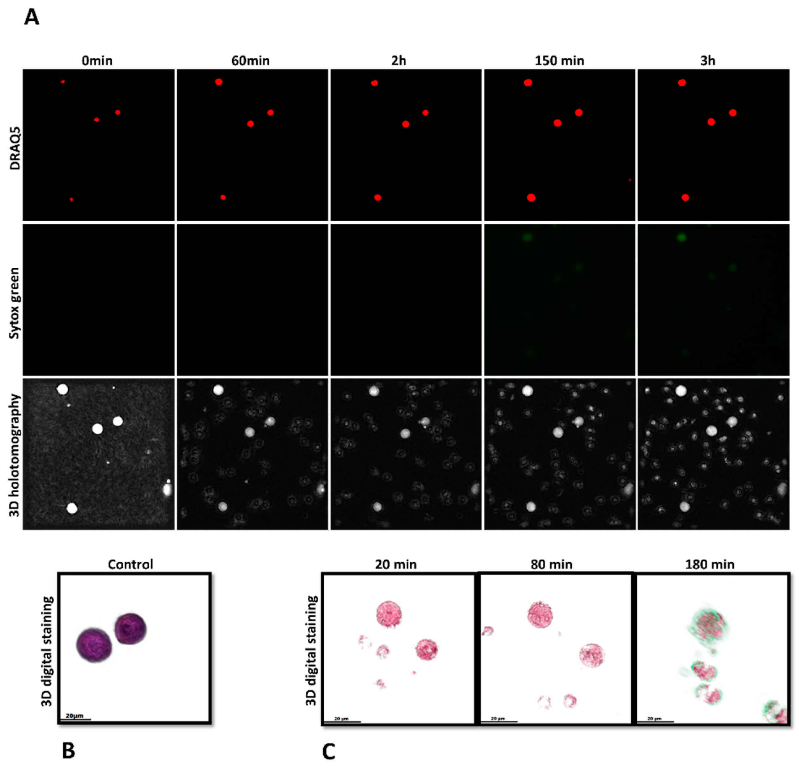 Biology 12 00961 g004