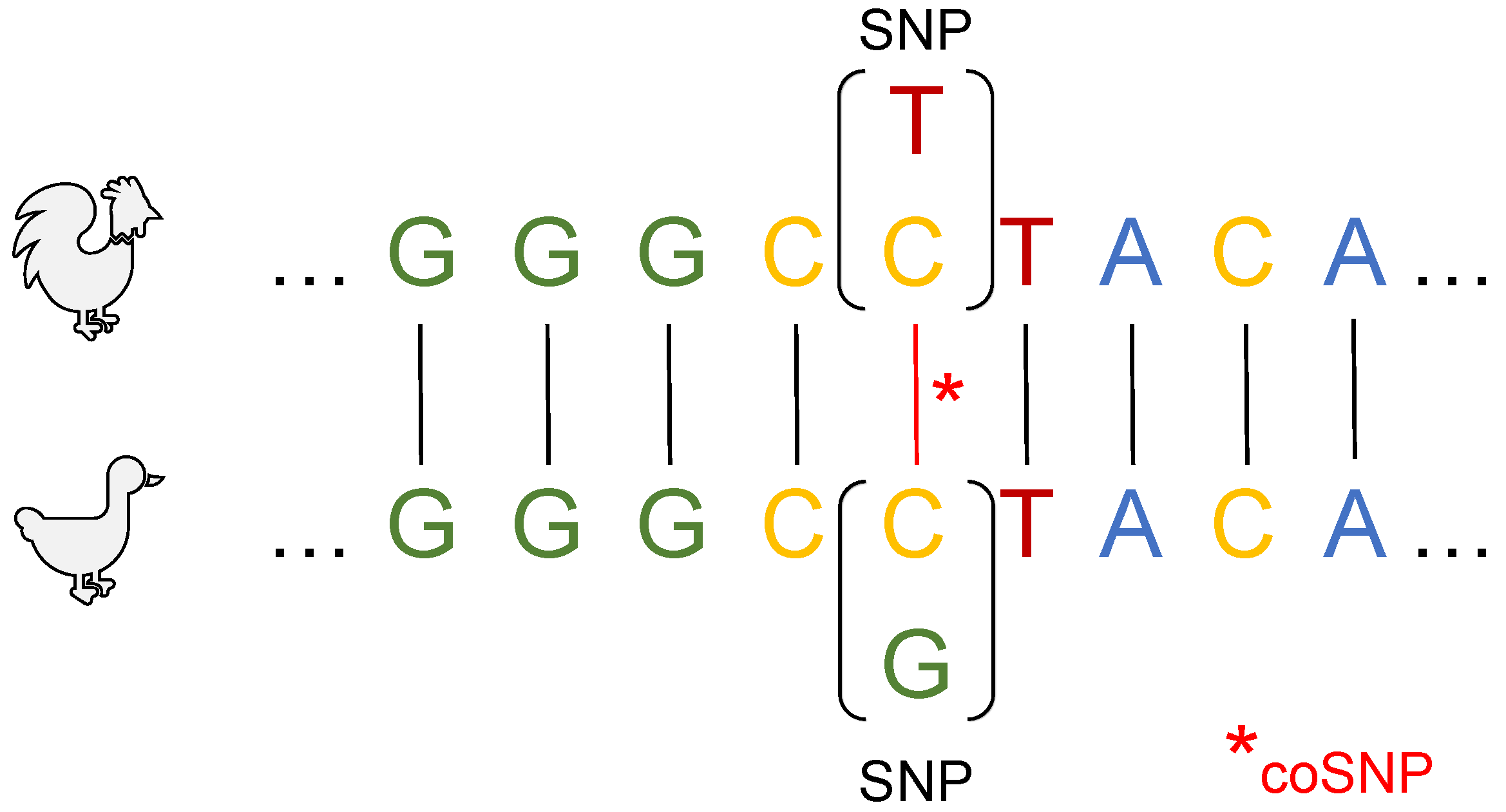 Biology 12 00969 g001 Biology 12 00969 g001