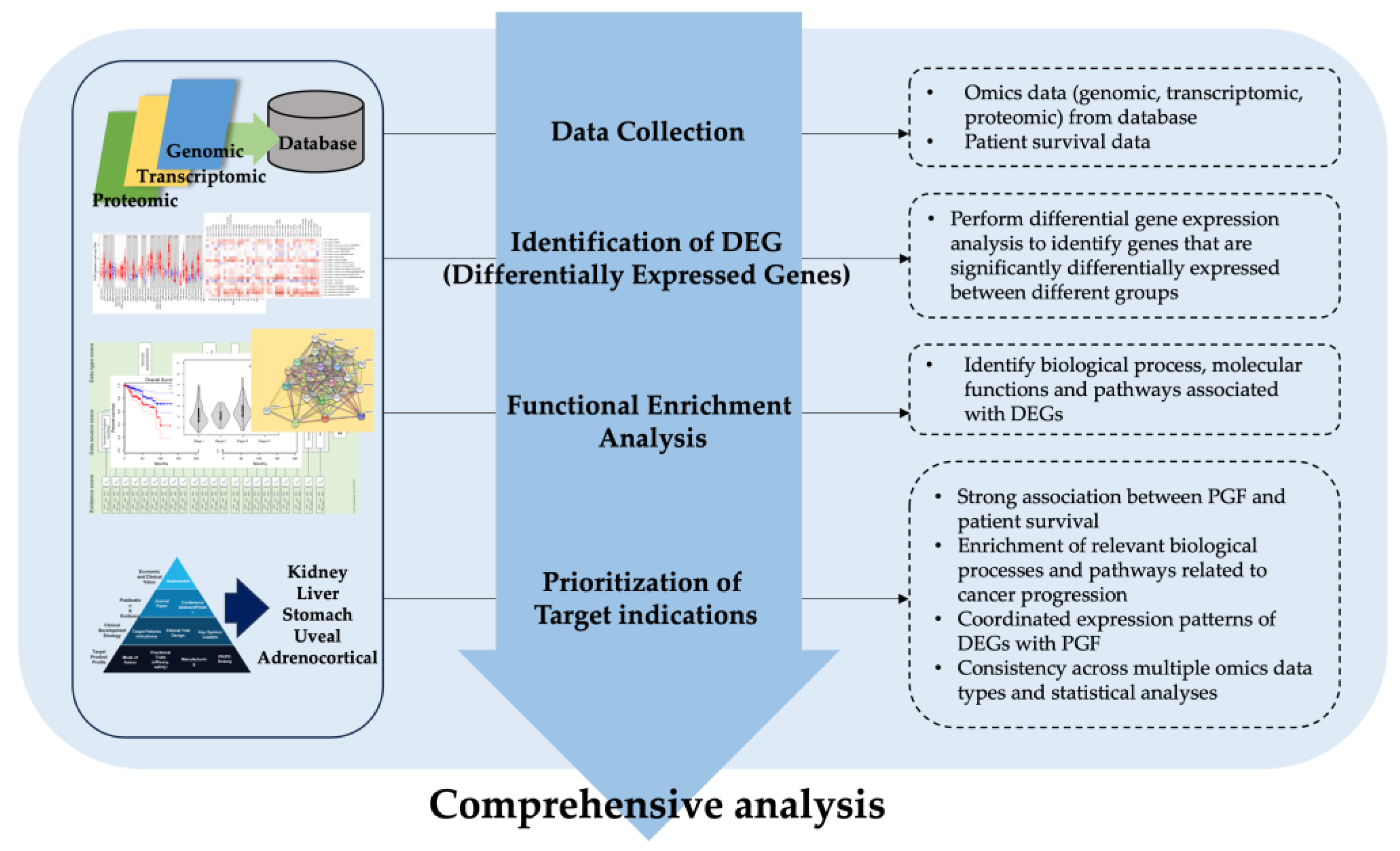 Biology 12 00970 g001
