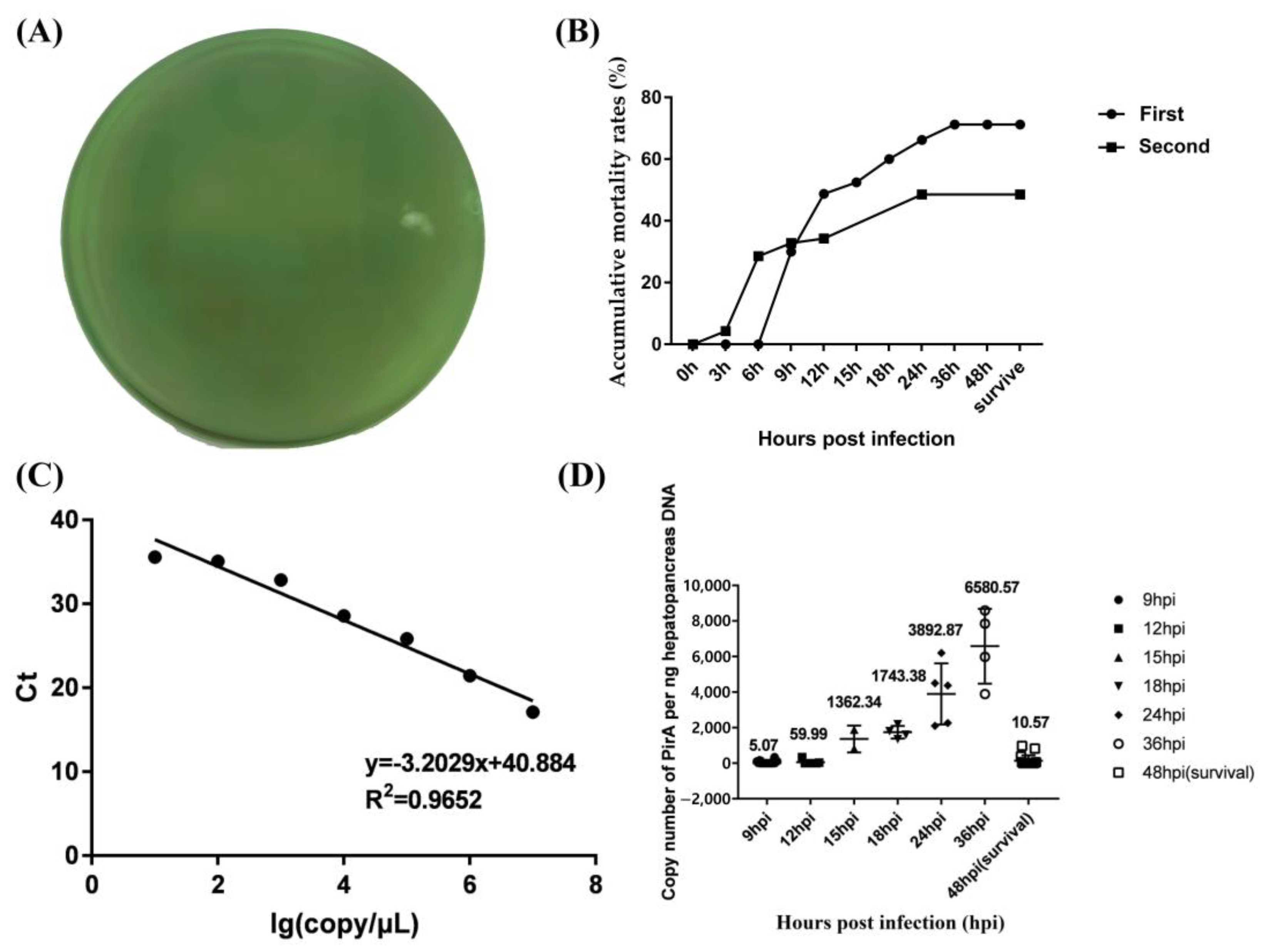 Biology 12 00977 g001