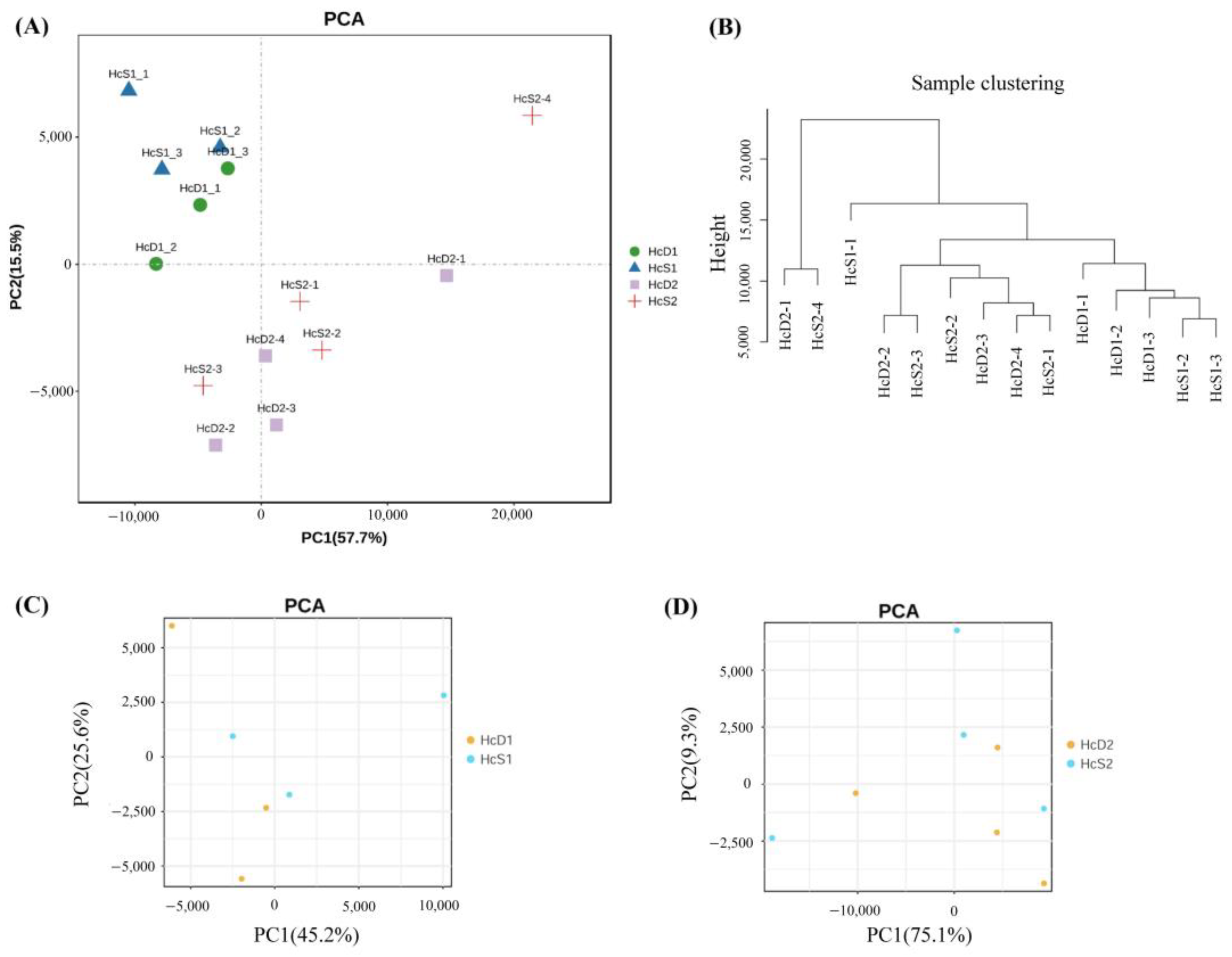 Biology 12 00977 g002