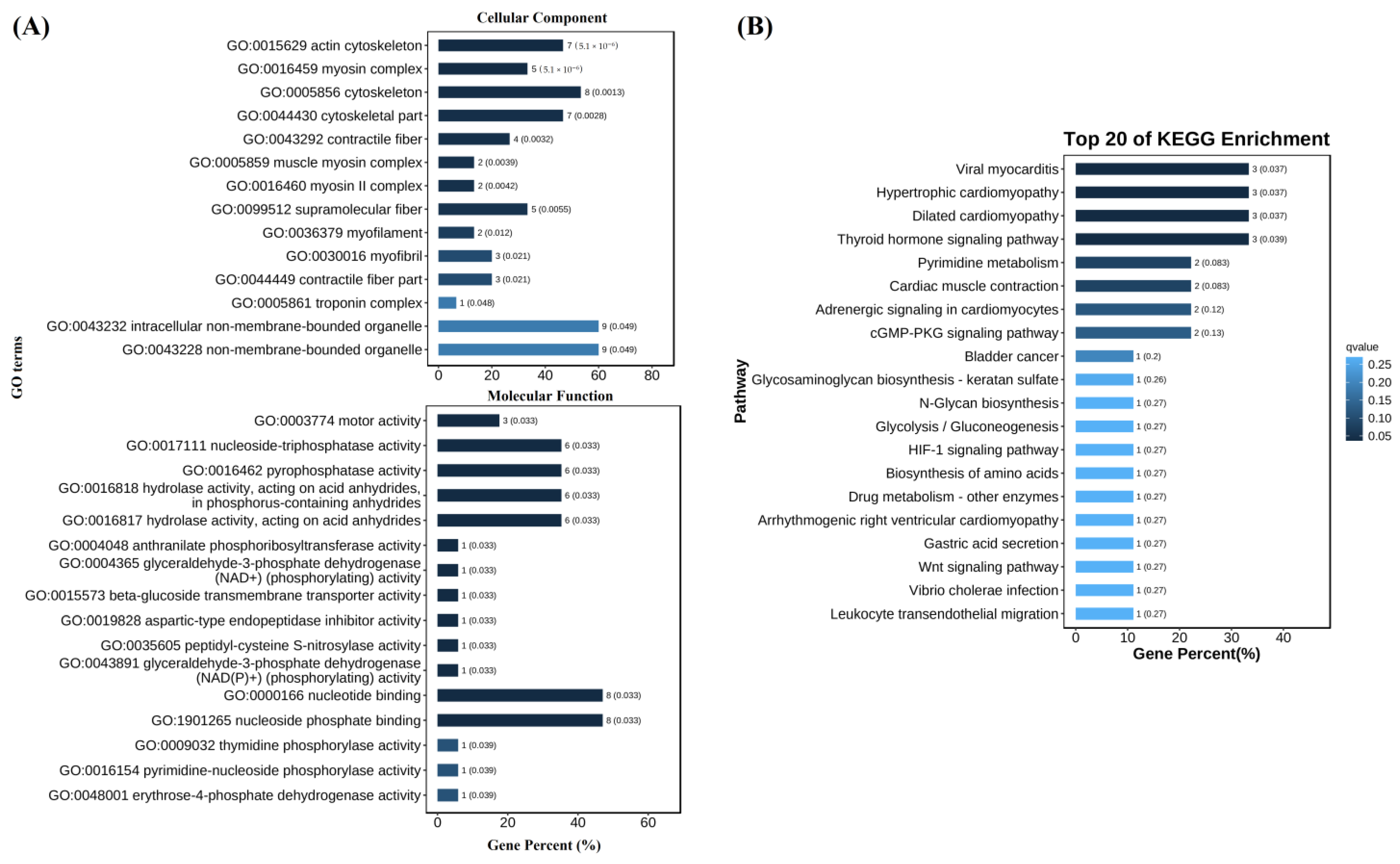 Biology 12 00977 g004