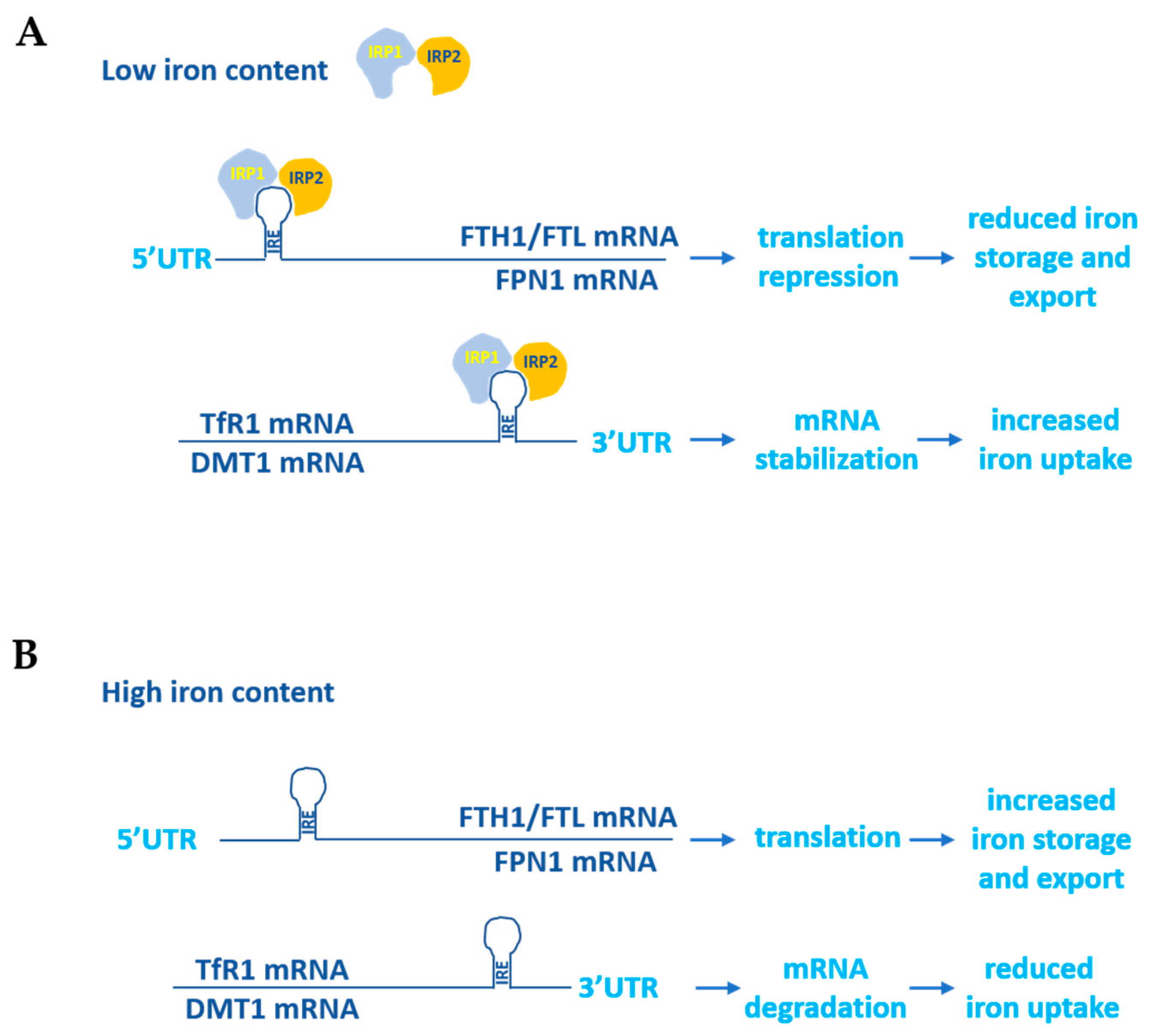 Biology 12 00989 g002
