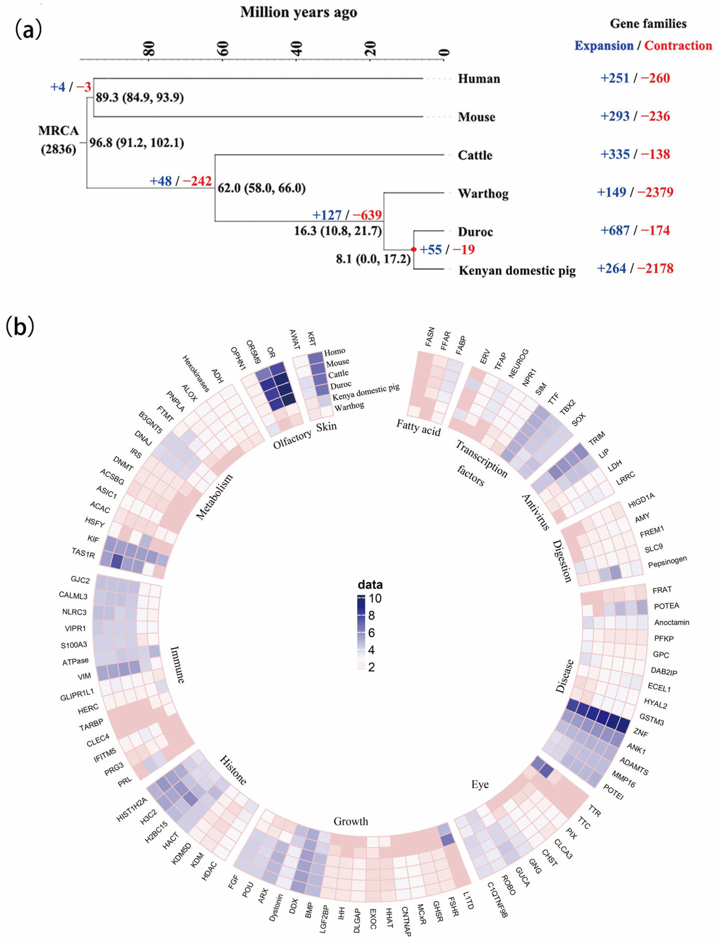 Biology 12 01001 g001