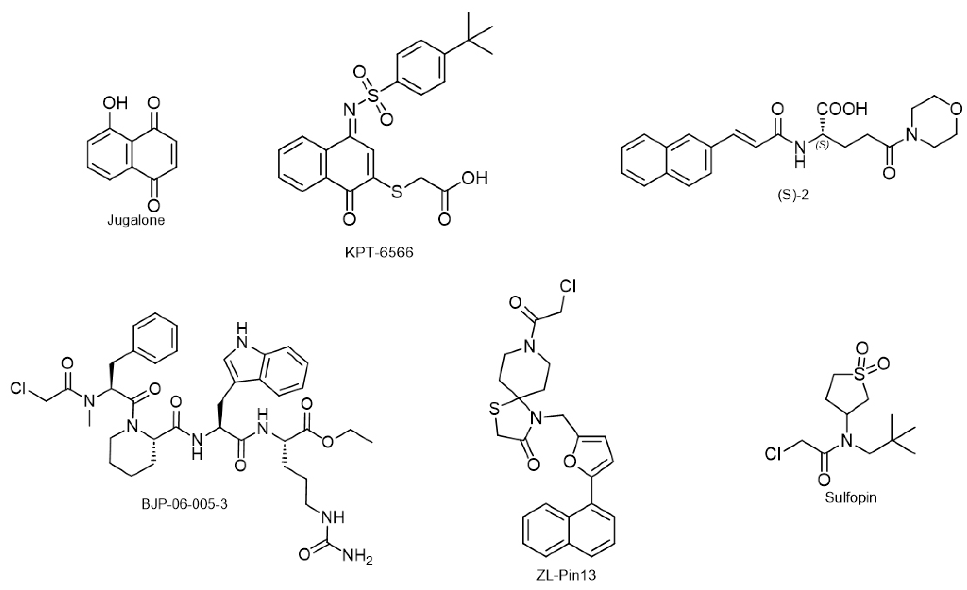 Biology 12 01008 g008