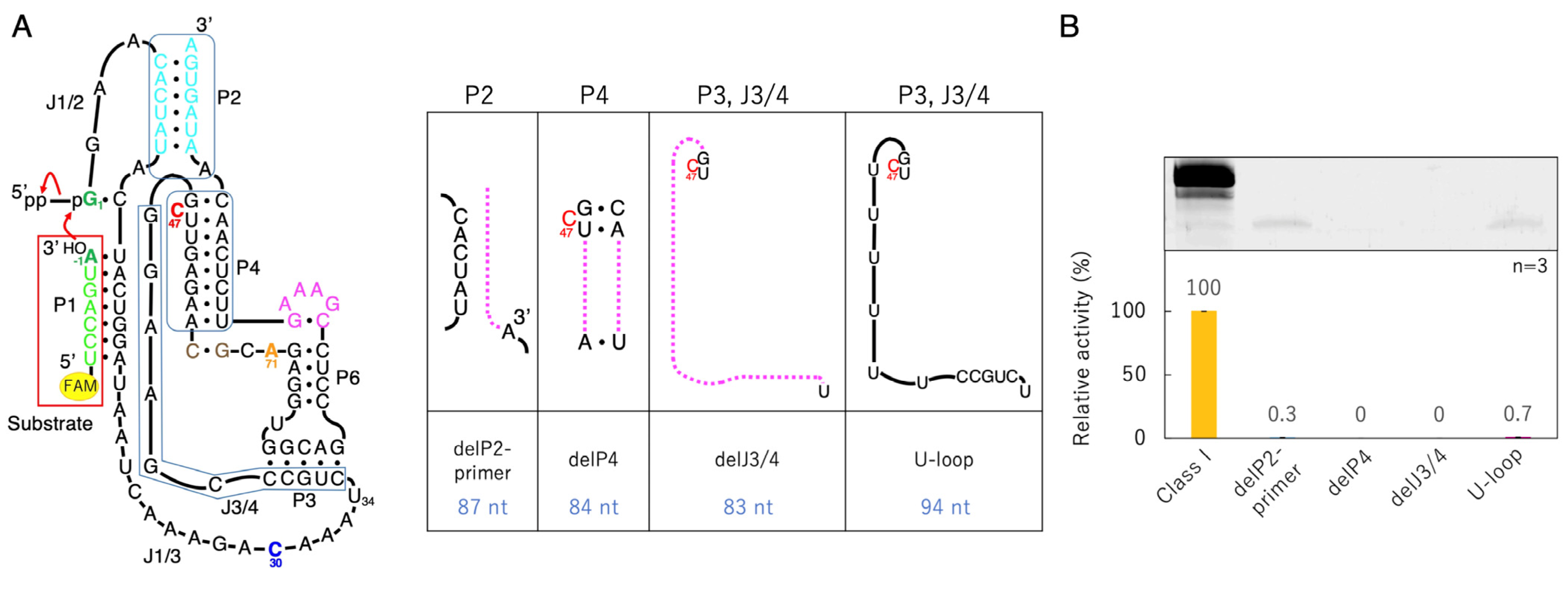 Biology 12 01012 g004