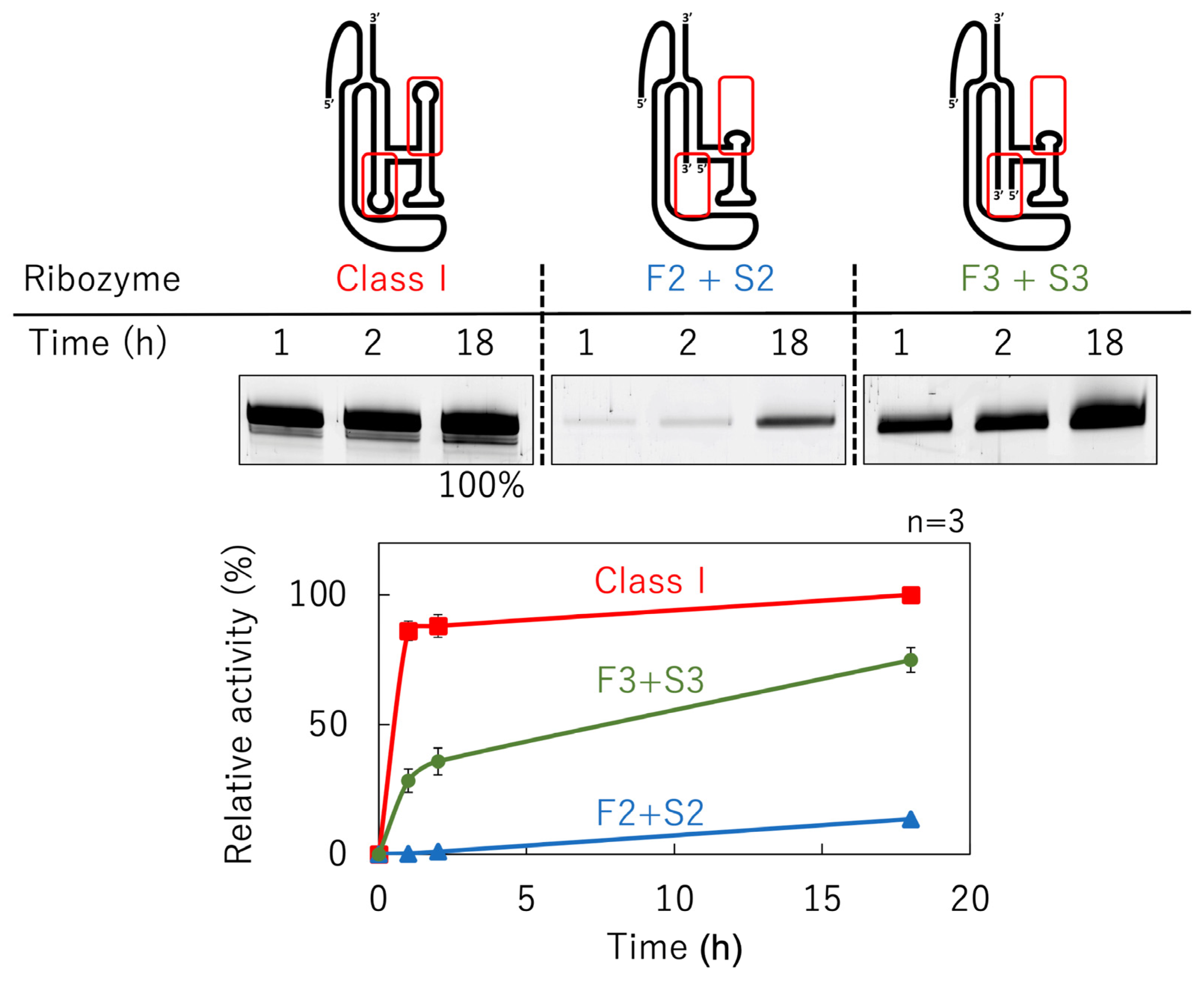 Biology 12 01012 g006