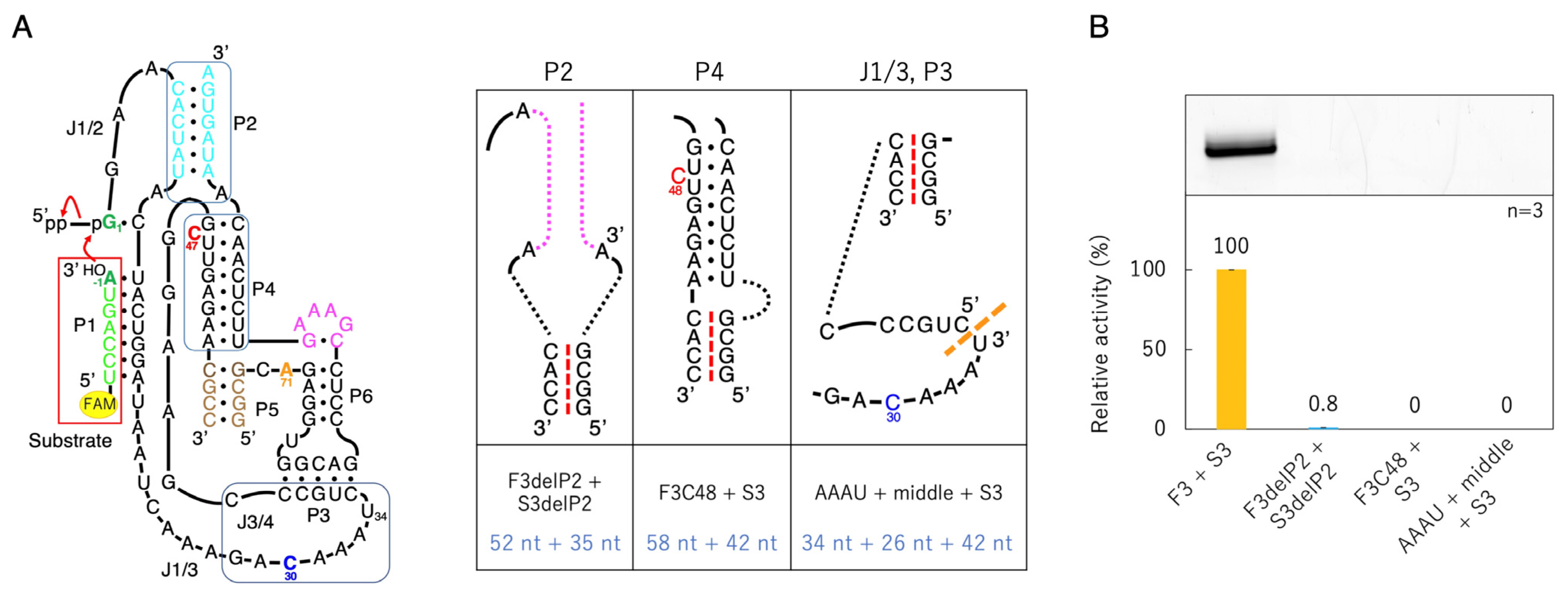 Biology 12 01012 g007