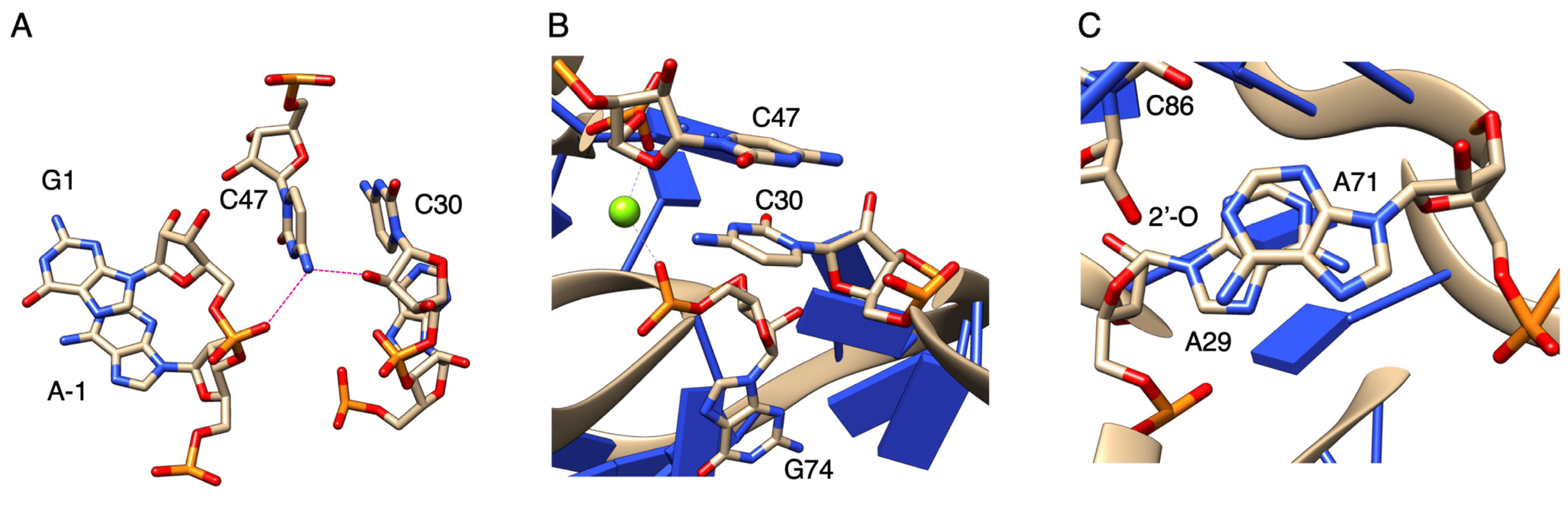 Biology 12 01012 g010