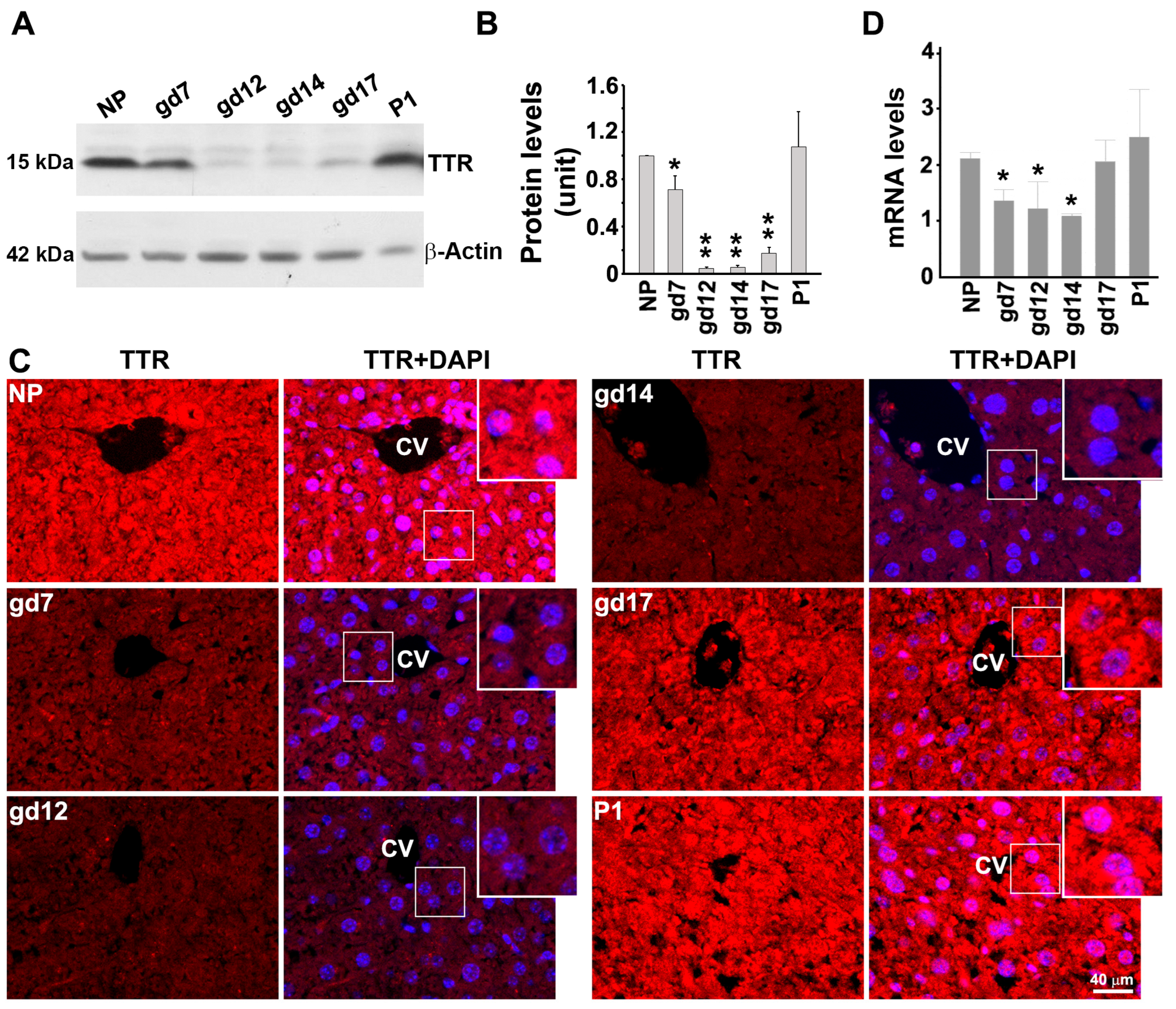 Biology 12 01048 g003 Biology 12 01048 g003