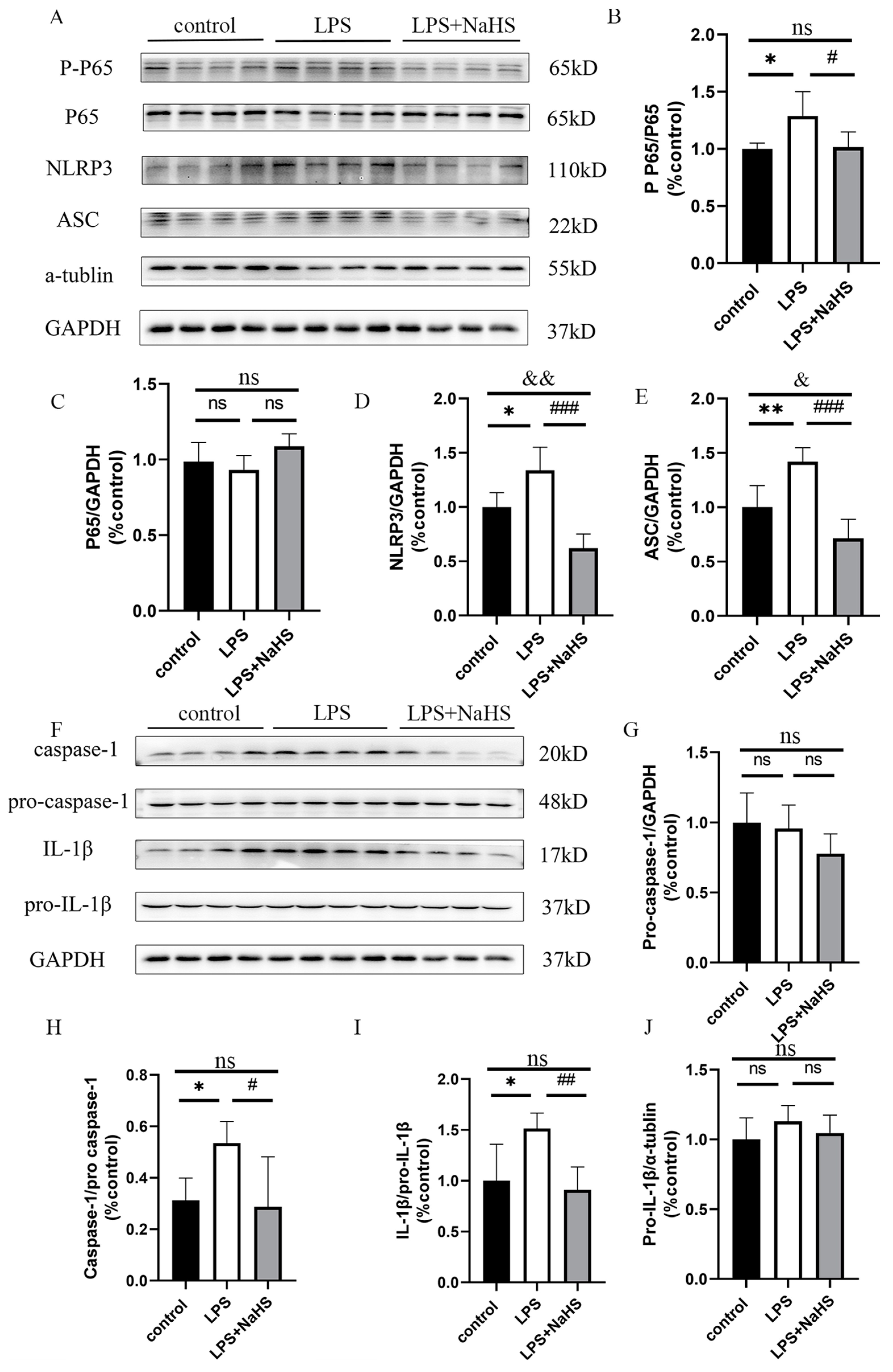 Biology 12 01092 g002