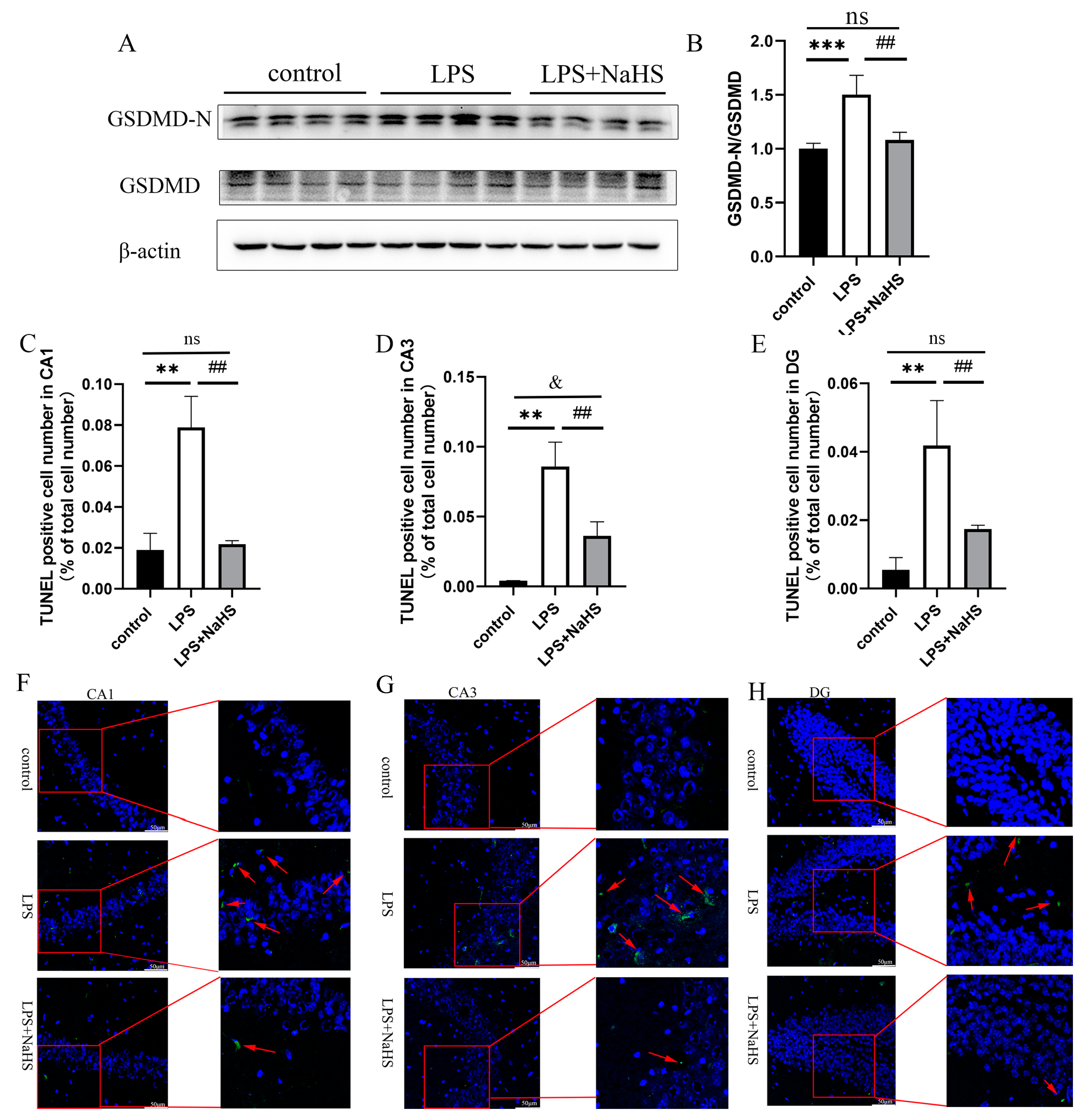 Biology 12 01092 g003