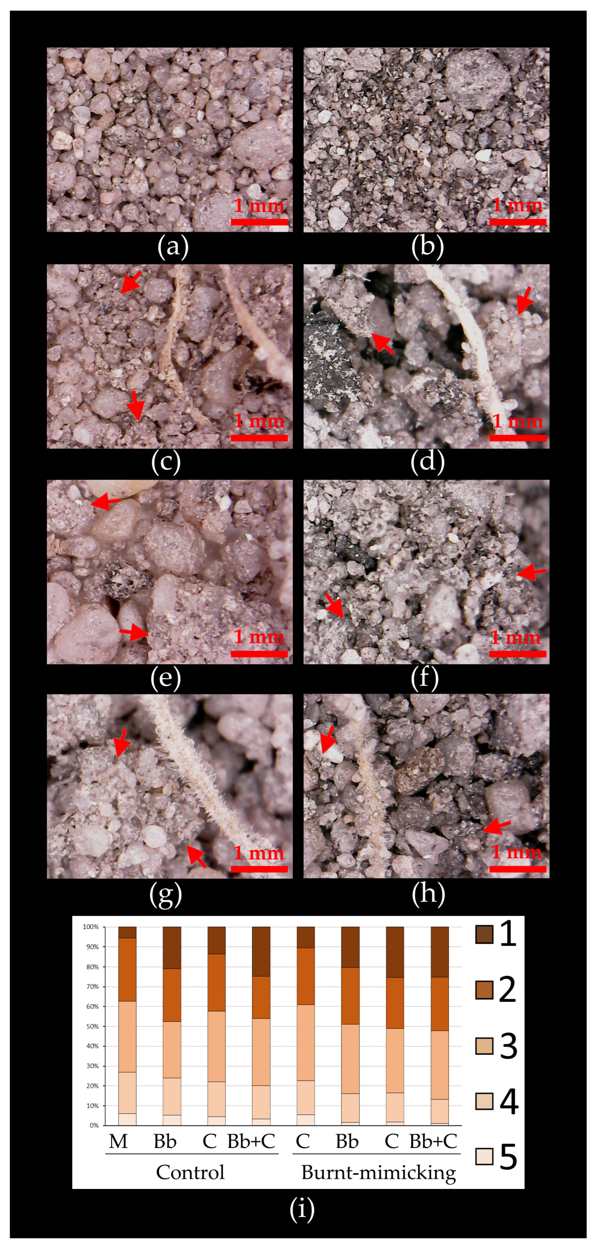 Biology 12 01093 g007