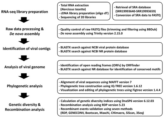 Biology, Free Full-Text