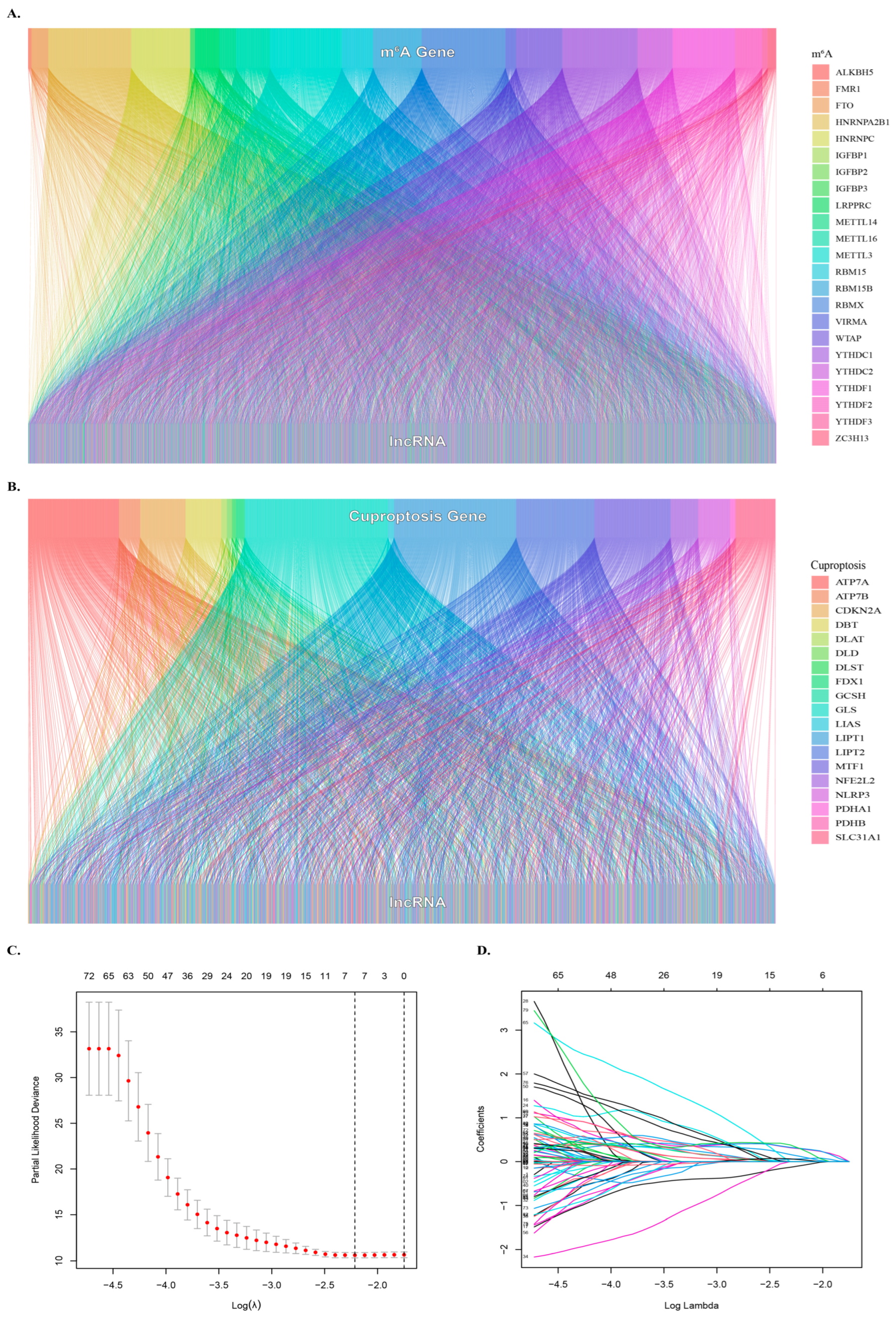 Biology 12 01101 g001