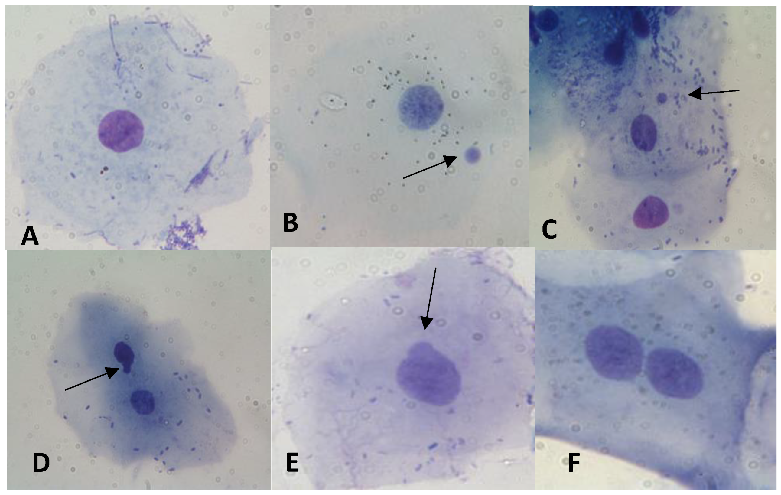 Biology 12 01110 g003