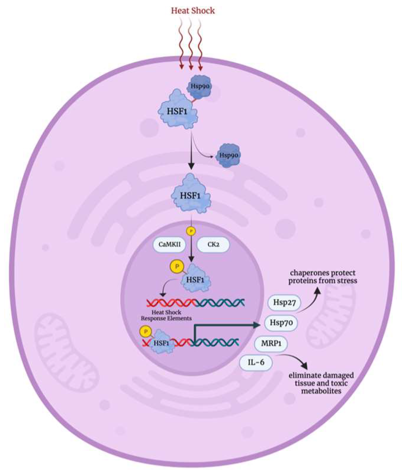 Biology 12 01119 g003