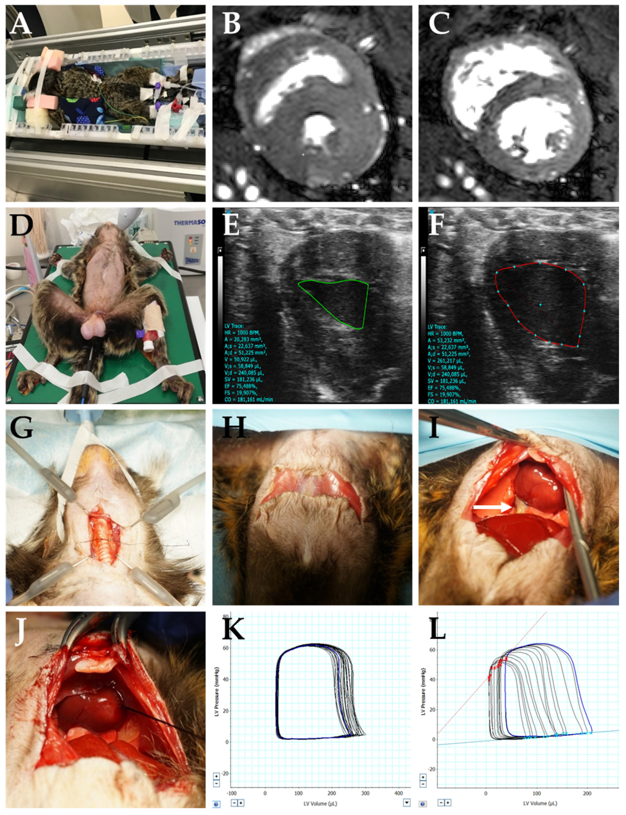 Biology 12 01123 g002