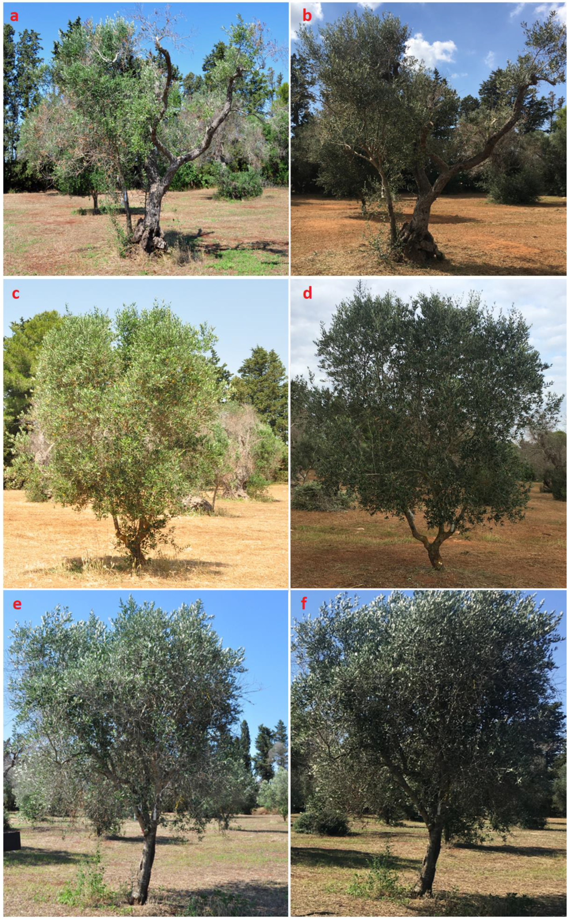 Biology 12 01141 g004