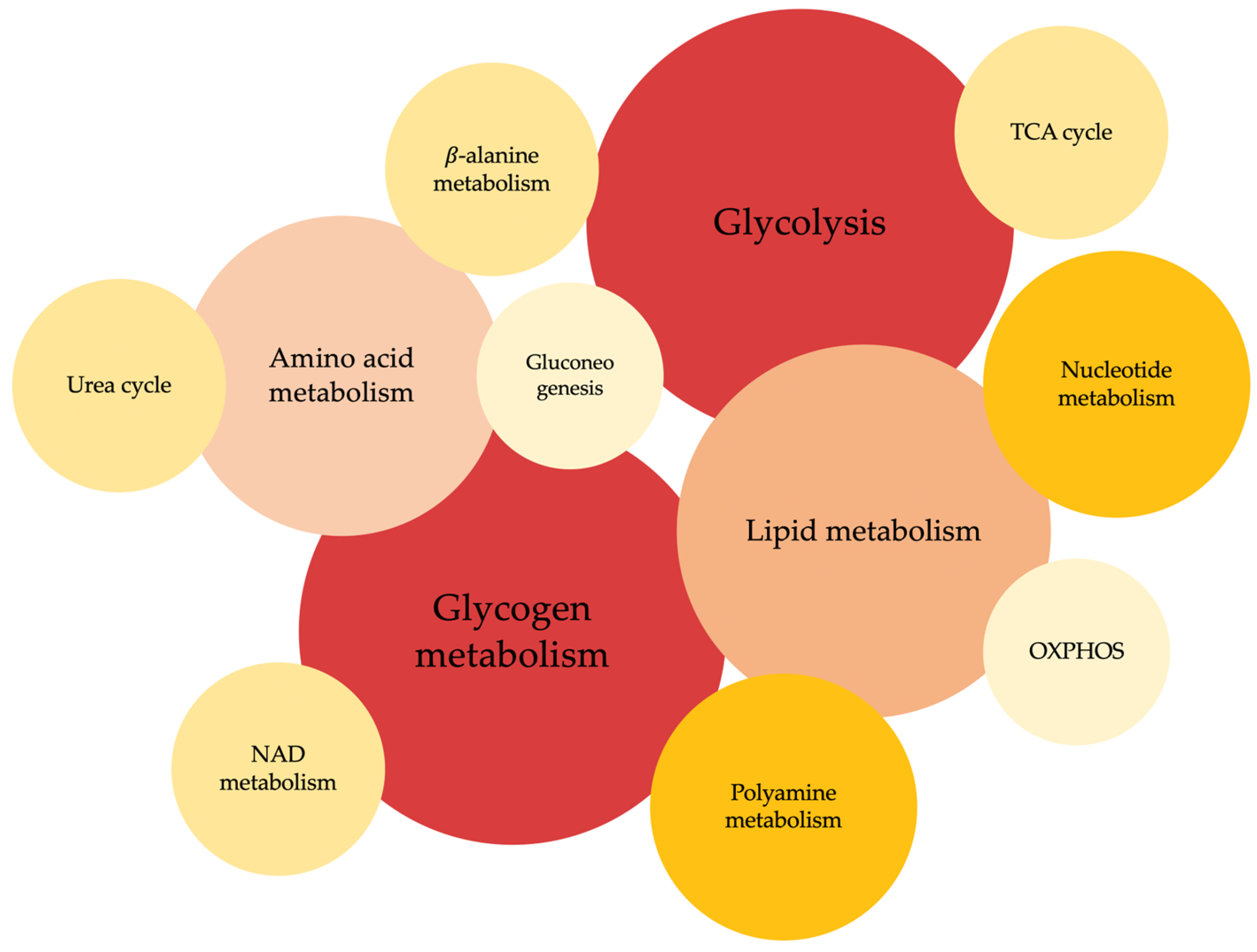 Biology 12 01159 g002