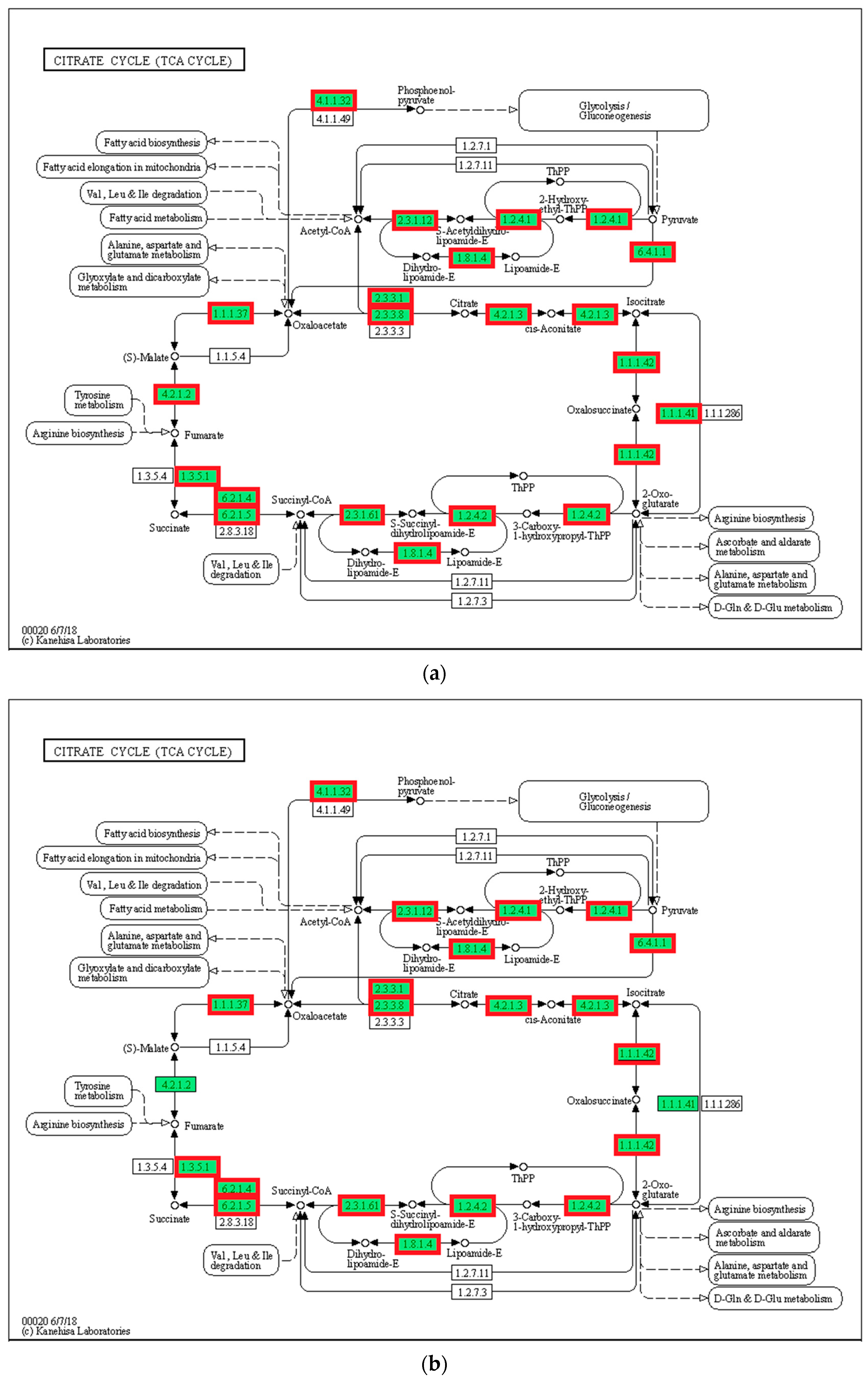 Biology 12 01161 g008a