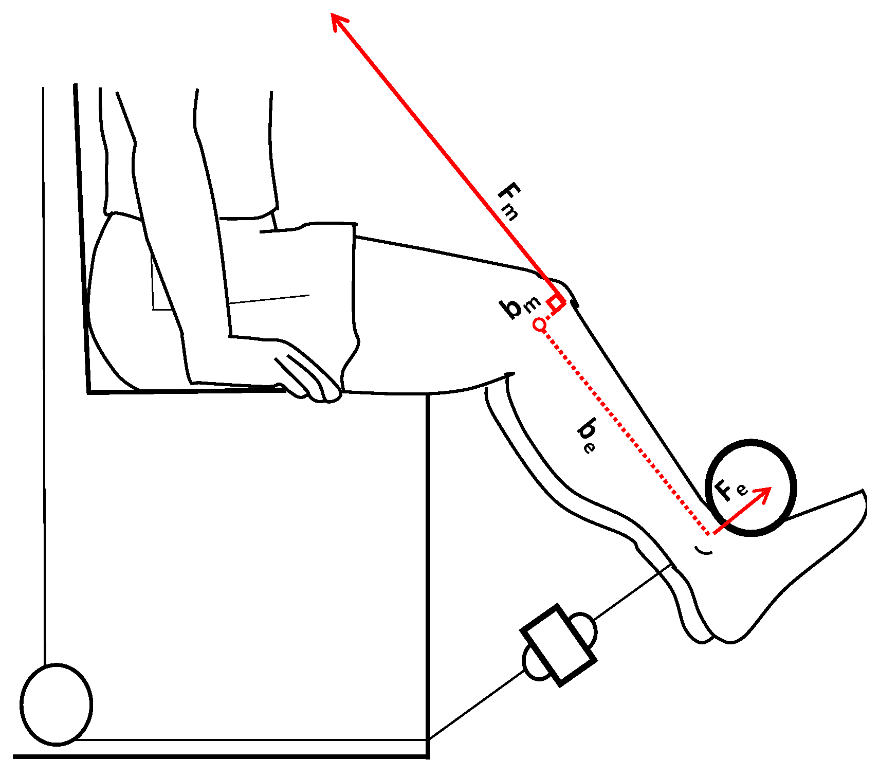 Biology 12 01173 g002