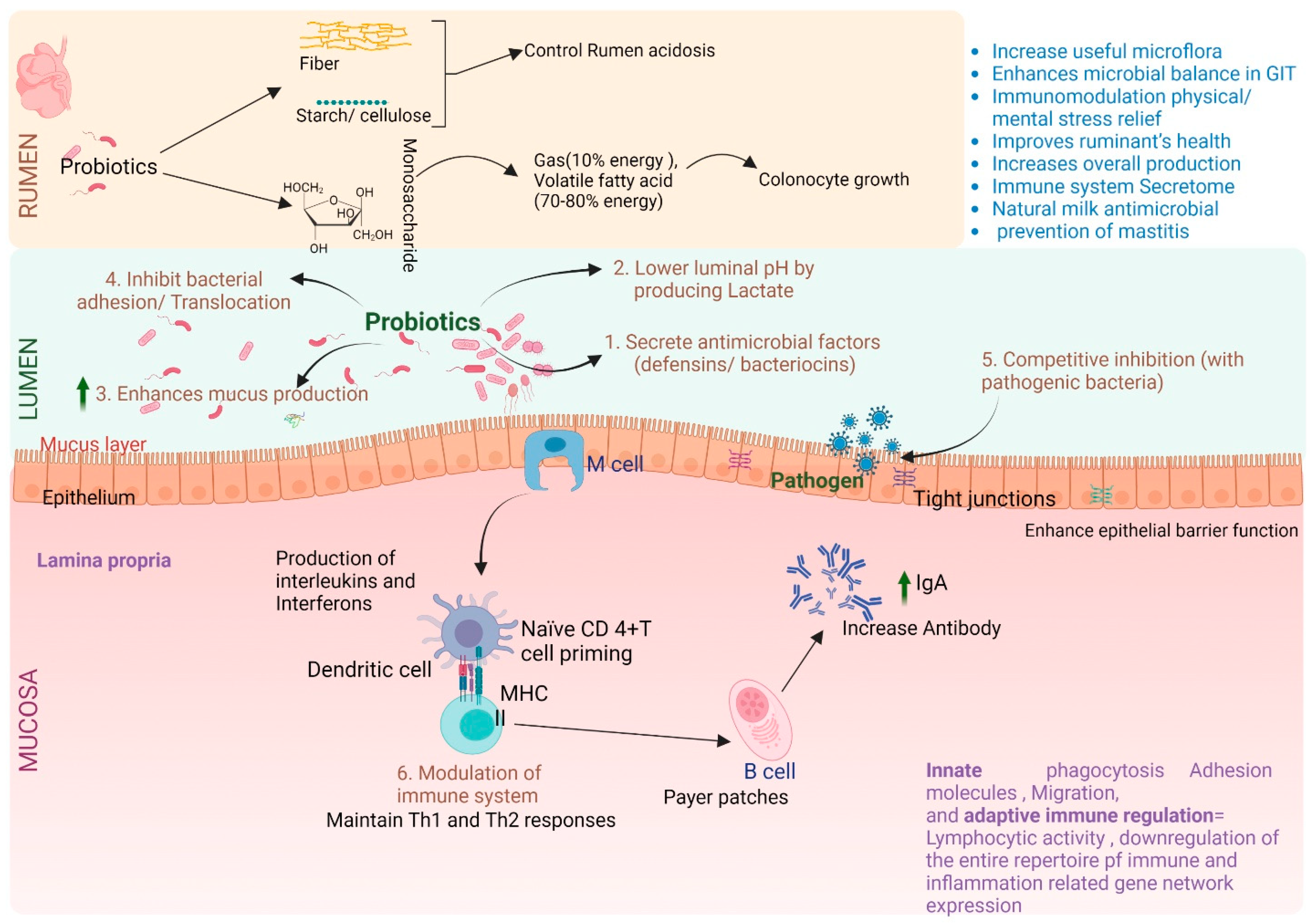 Biology 12 01200 g005