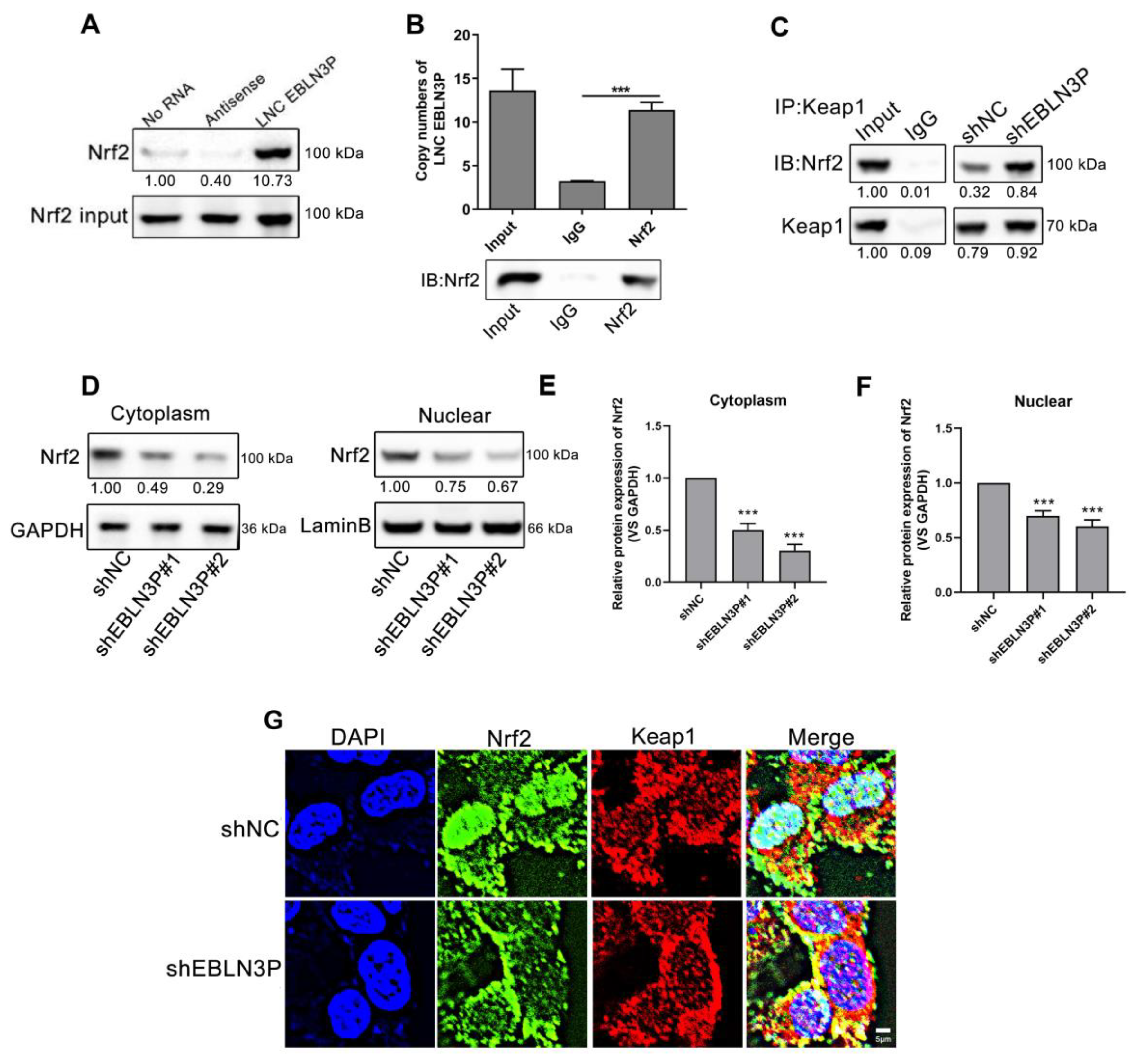 Biology 12 01208 g004