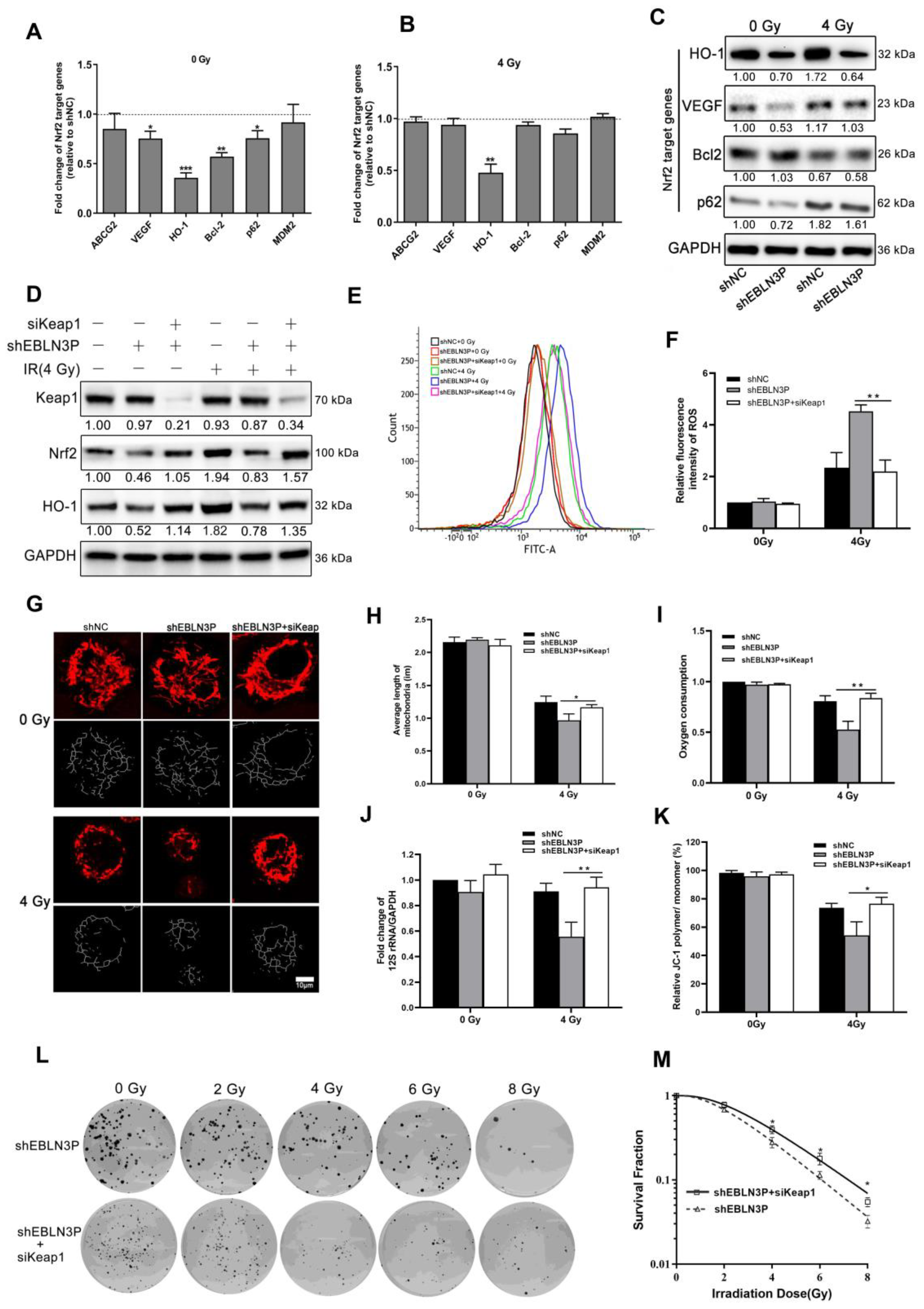 Biology 12 01208 g005