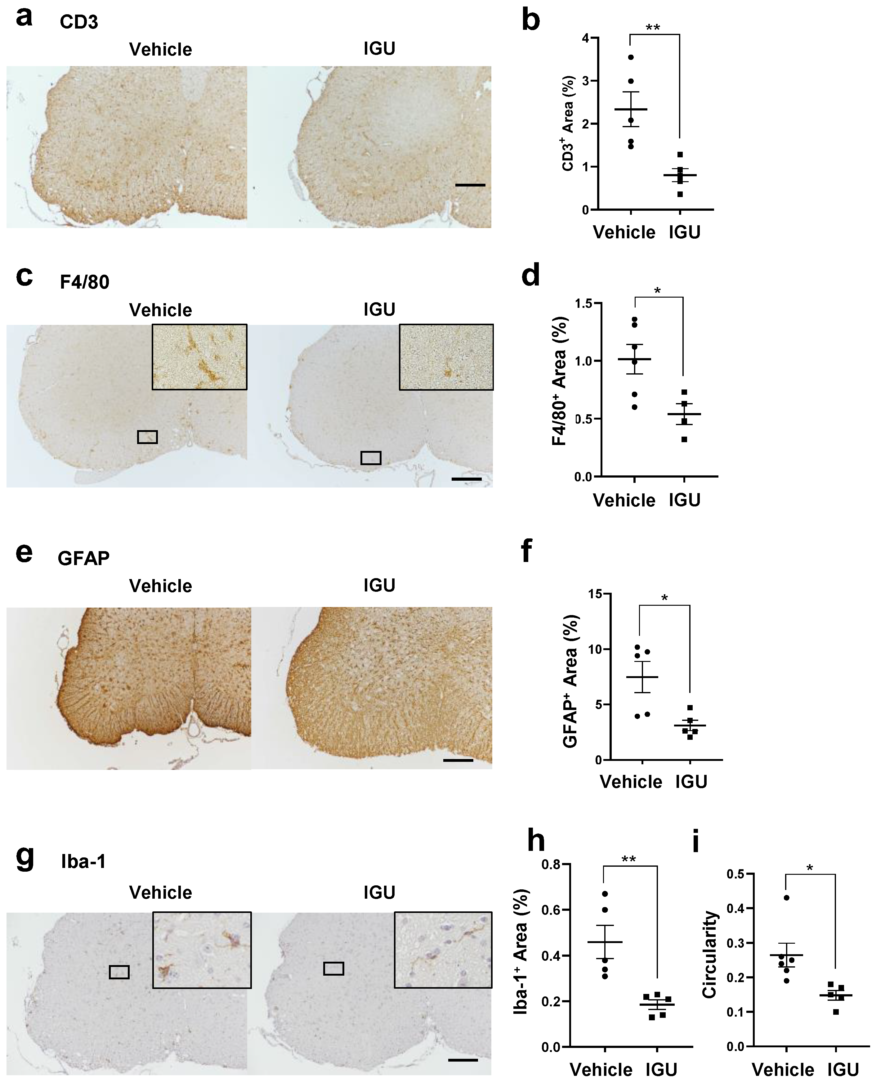 Biology 12 01217 g002