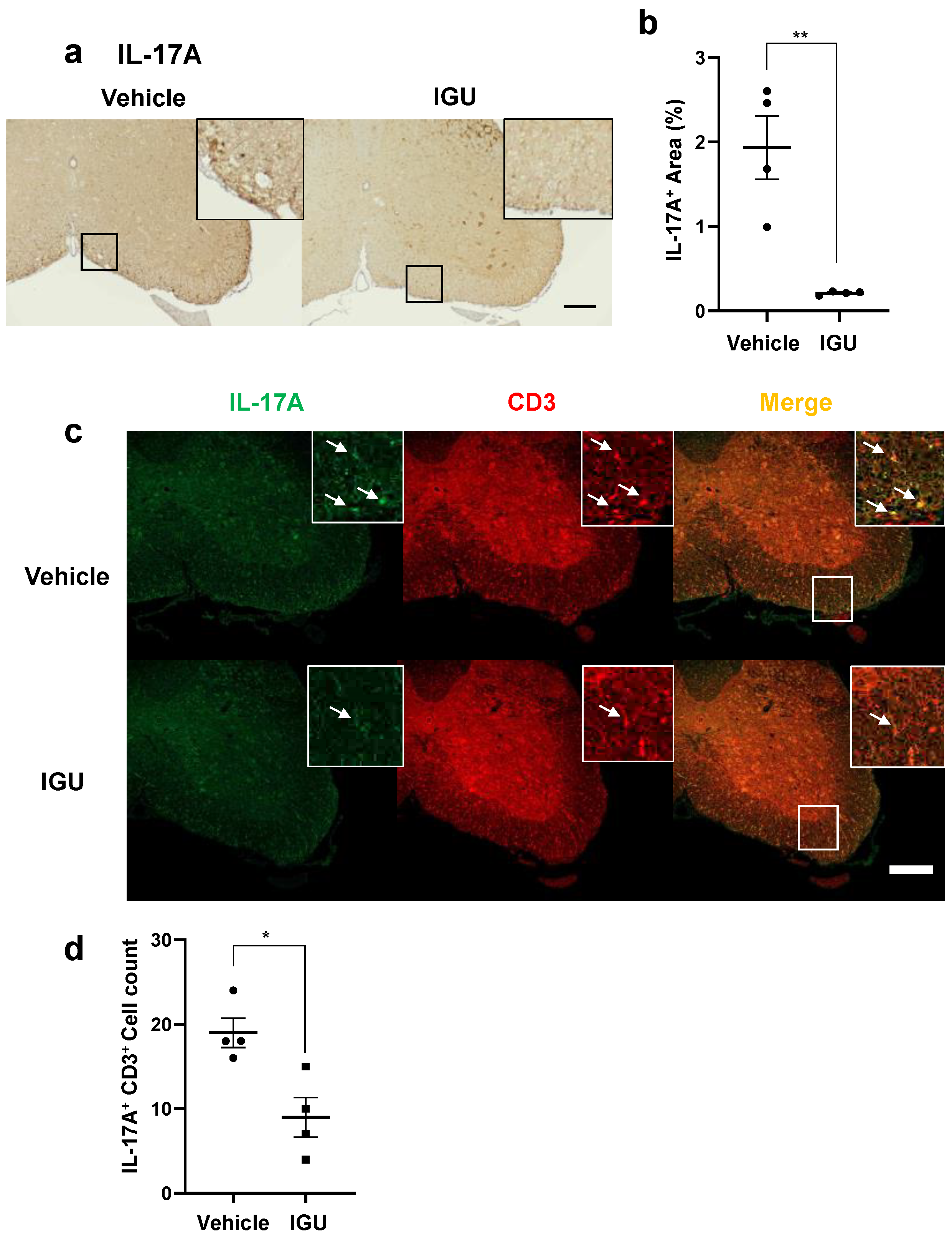 Biology 12 01217 g004