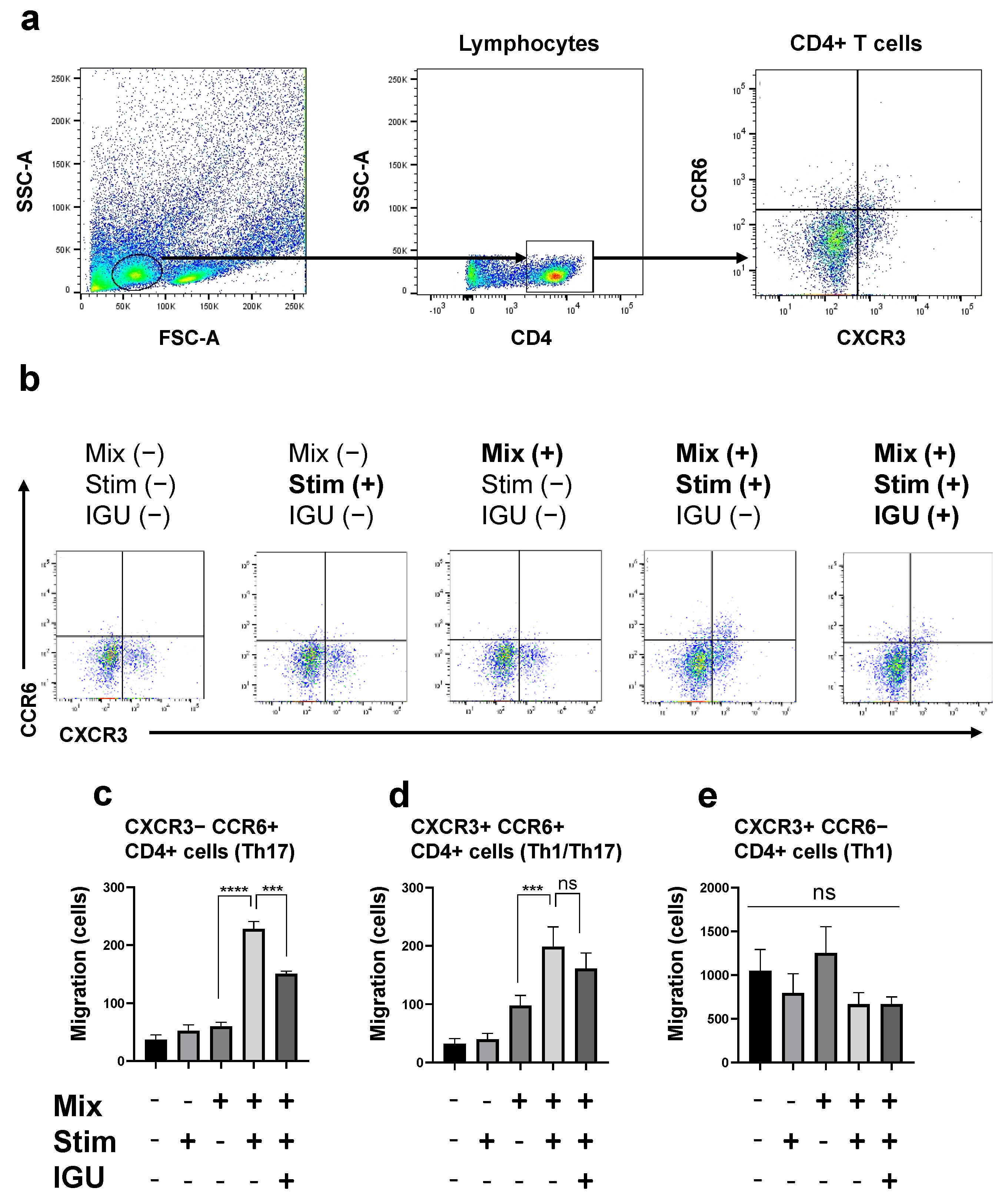 Biology 12 01217 g007